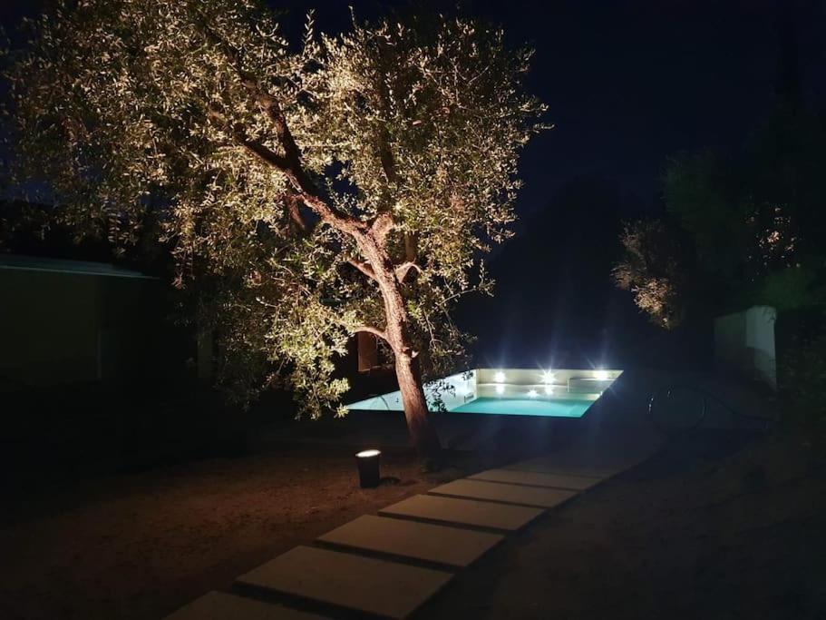 Villa Malù - APT Luisa Piscina e vista lago photo 2