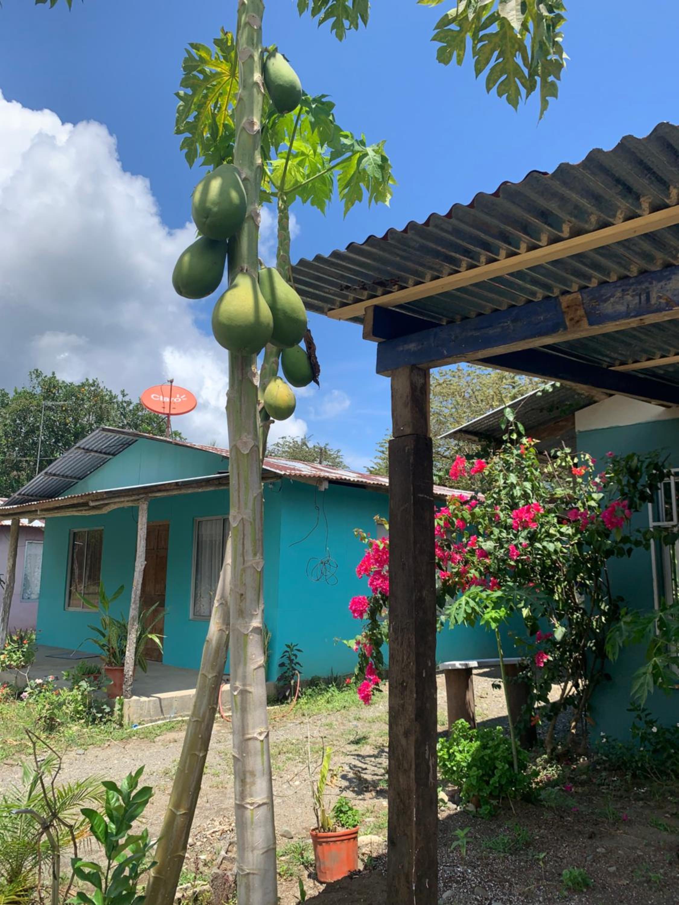 Alba House with Pool