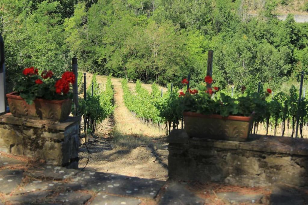 Il Poggiolino - Tuscan villa located in Chianti's hills