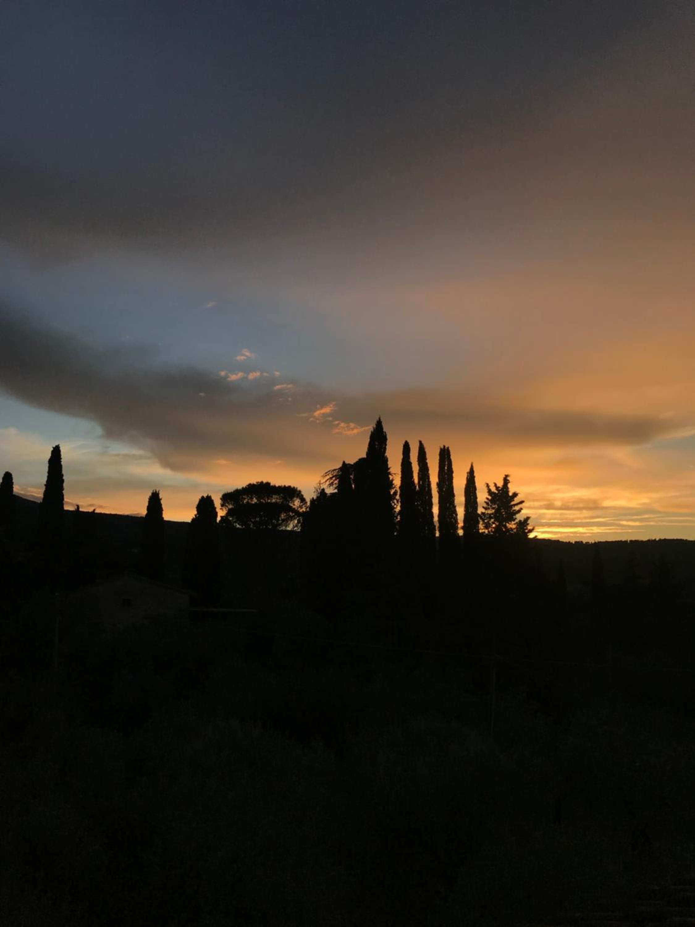 La Trifoglietta