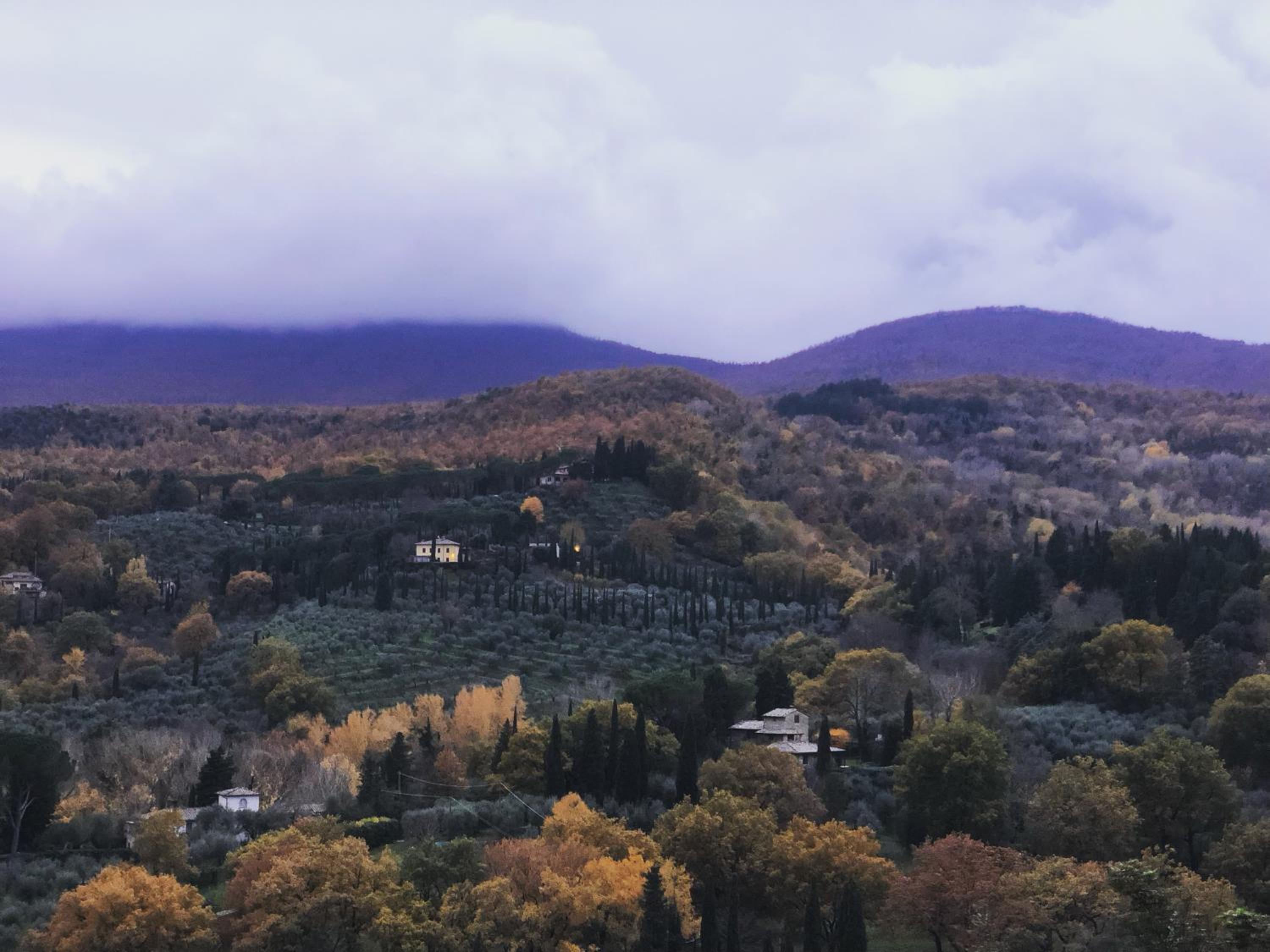 La Trifoglietta