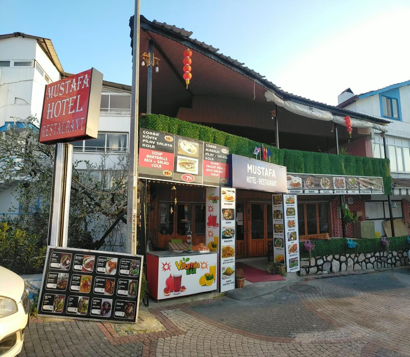Mustafa Hotel view 2