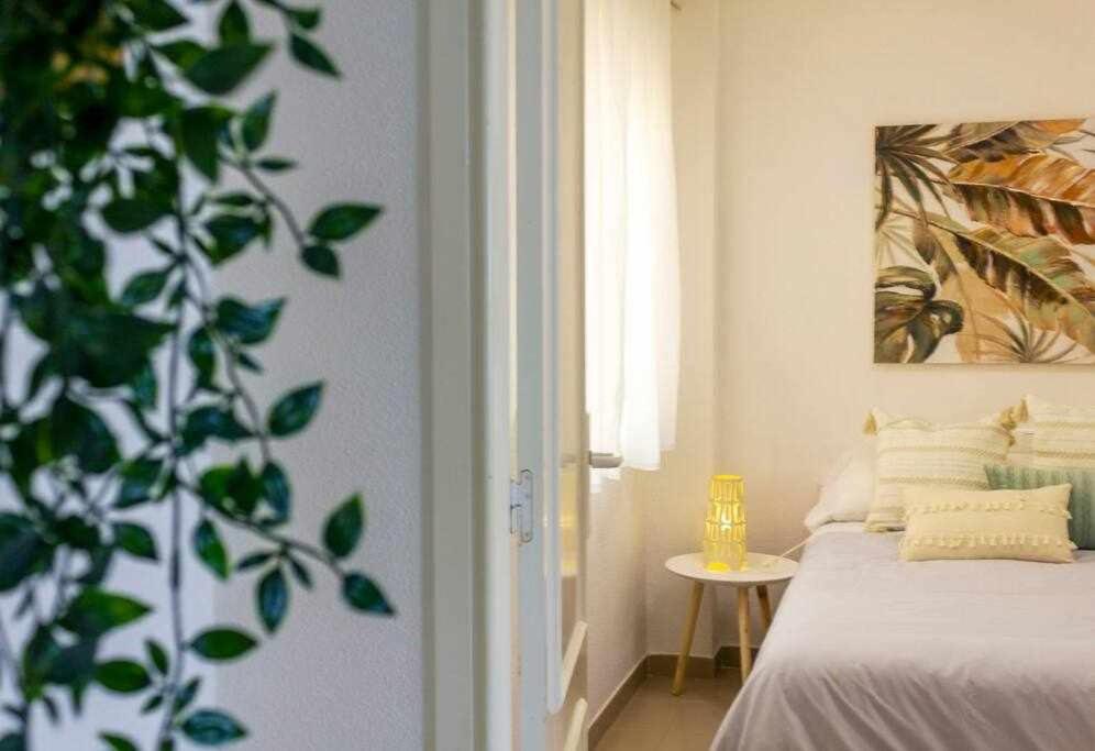 Apartment Pink Paraiso