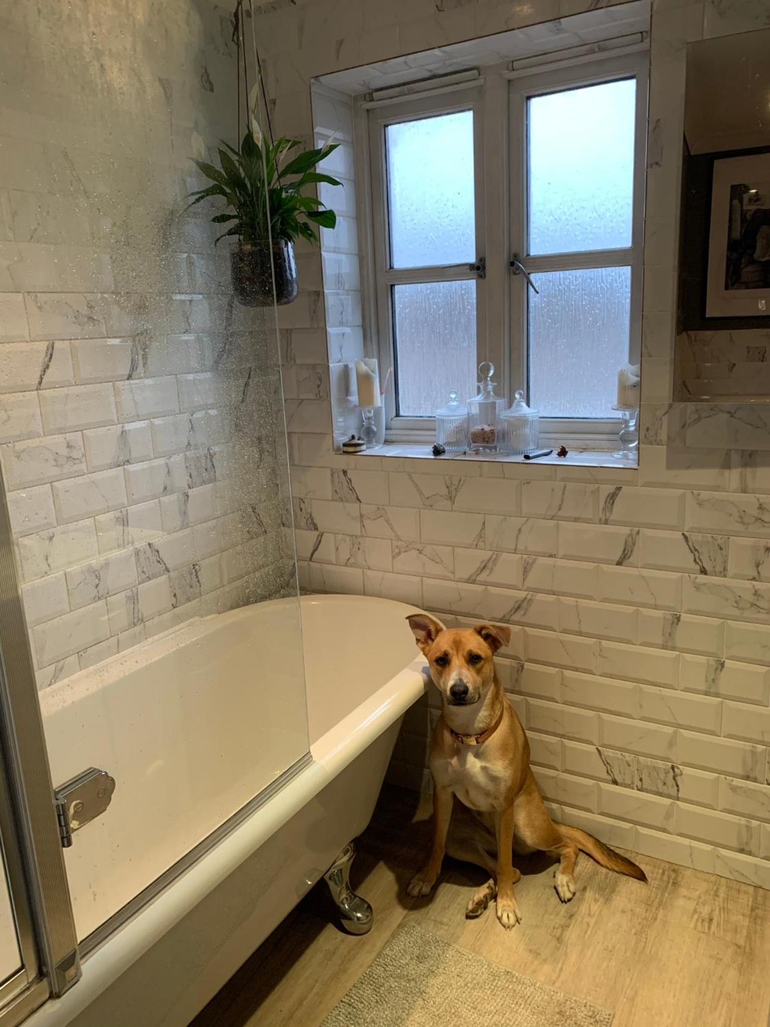 Stylish 3 bedroom townhouse for 5 guests, set in the medieval grid with off street parking
