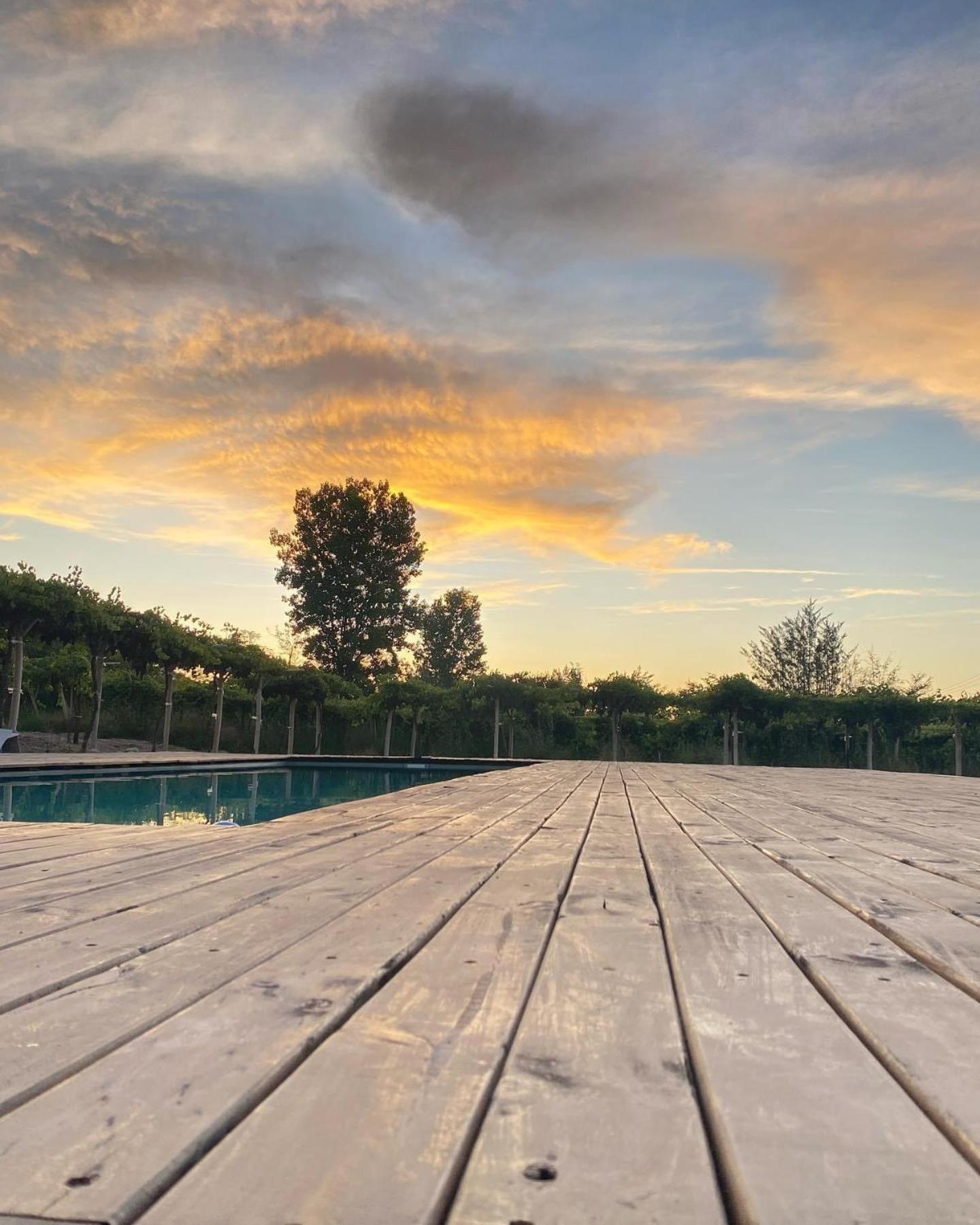 Glamping Viñas de Elqui