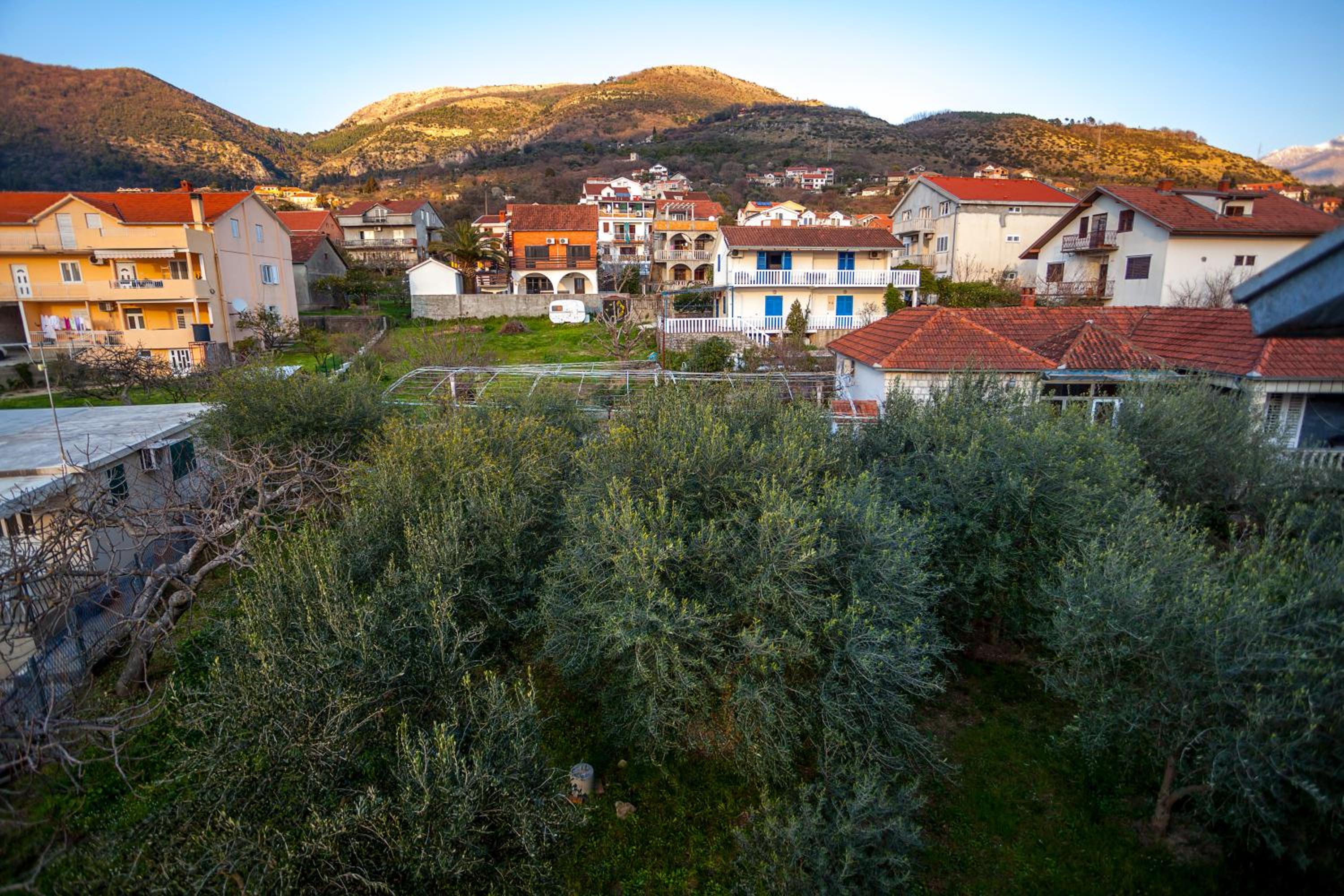 Apartments Marko