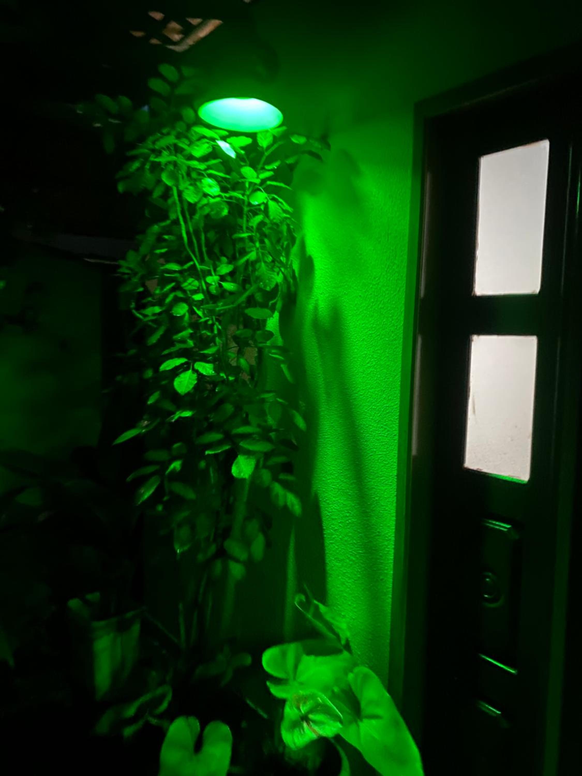 Lazer Hostel
