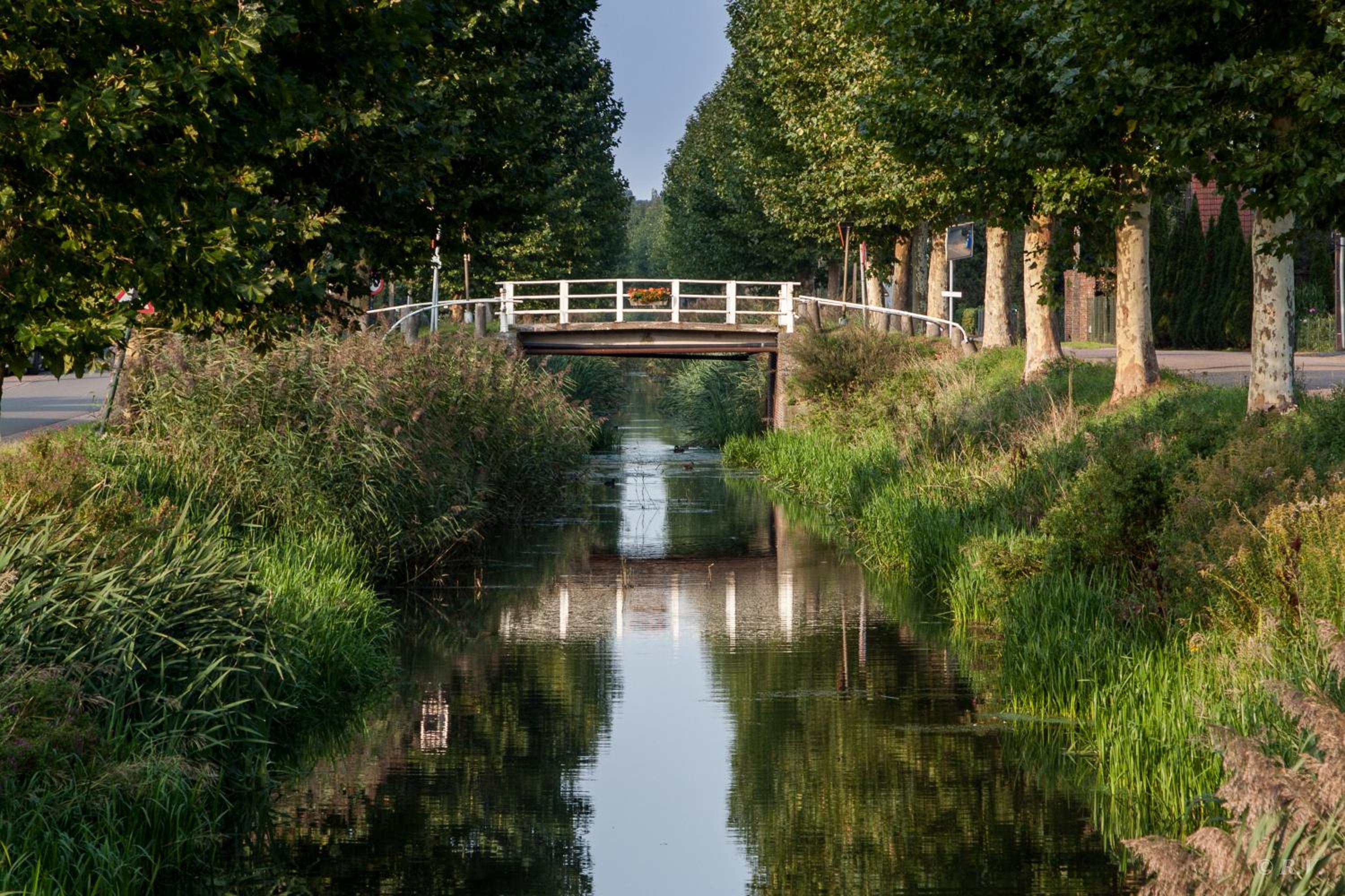 de minnetuin