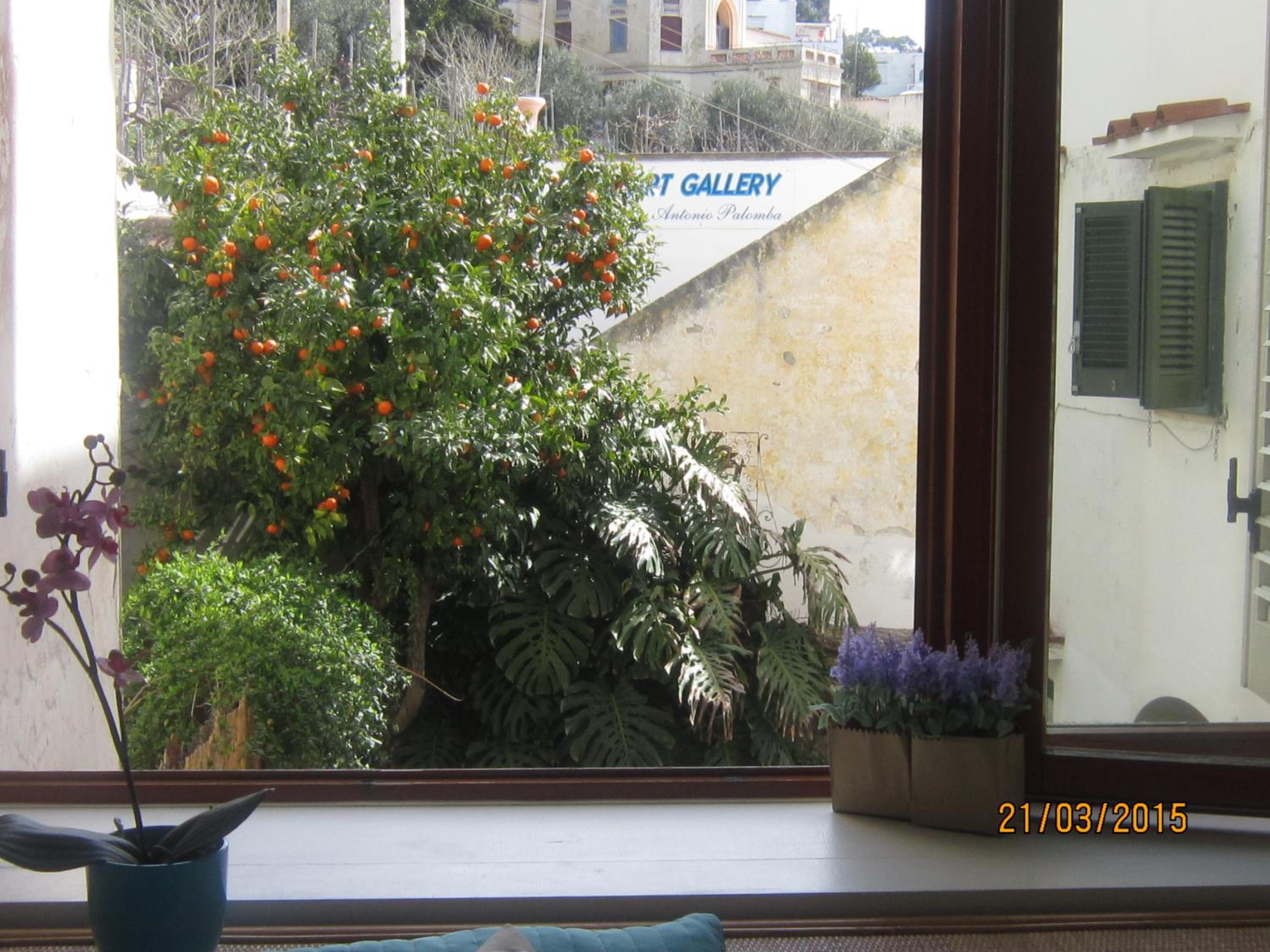 Villa Apollo B&B