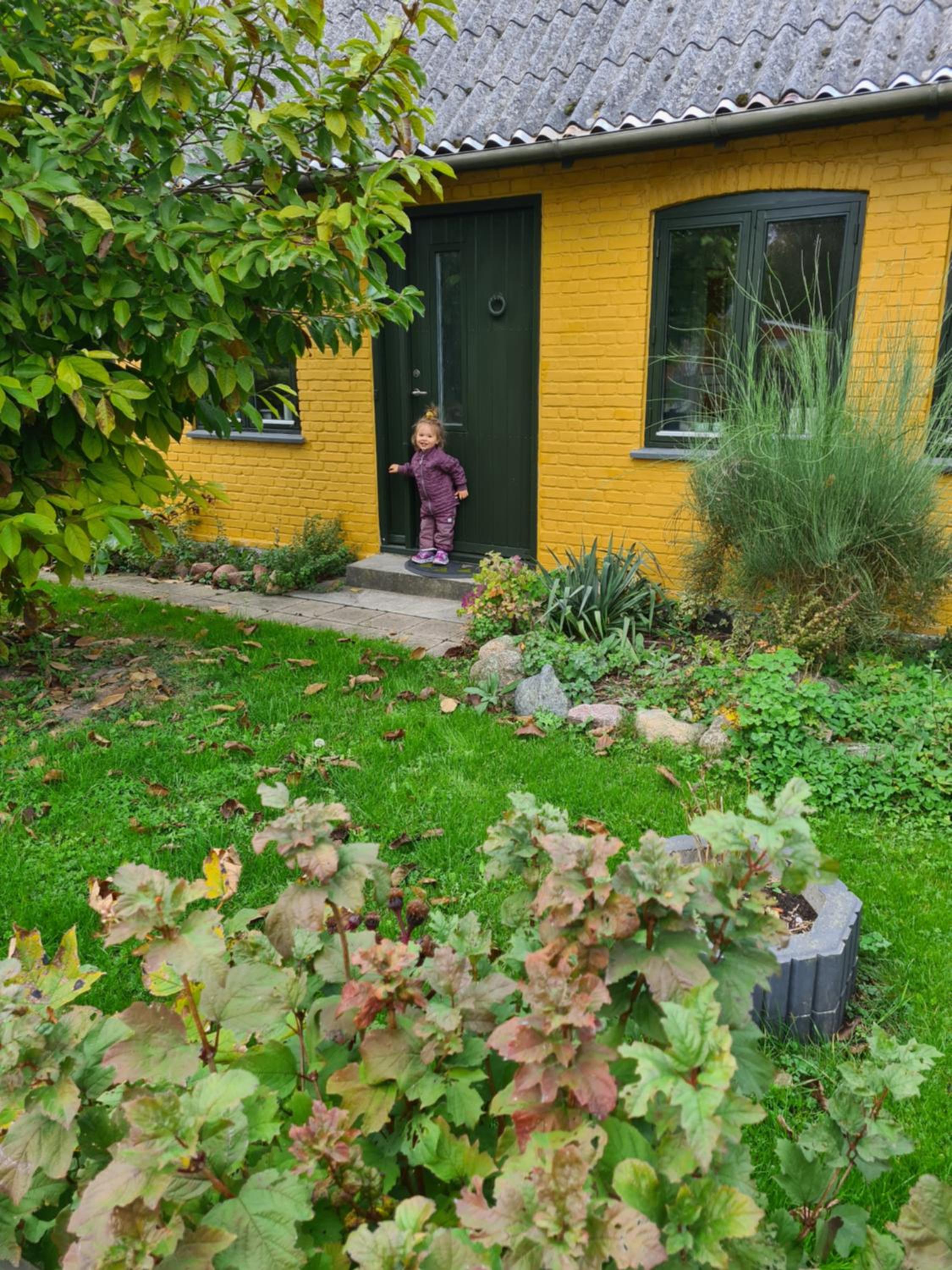 Photo 42