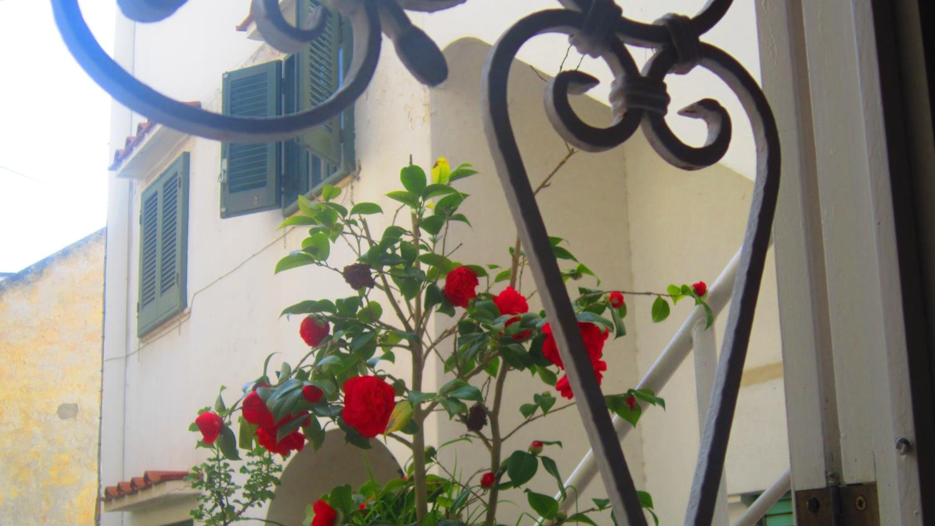 Villa Apollo B&B