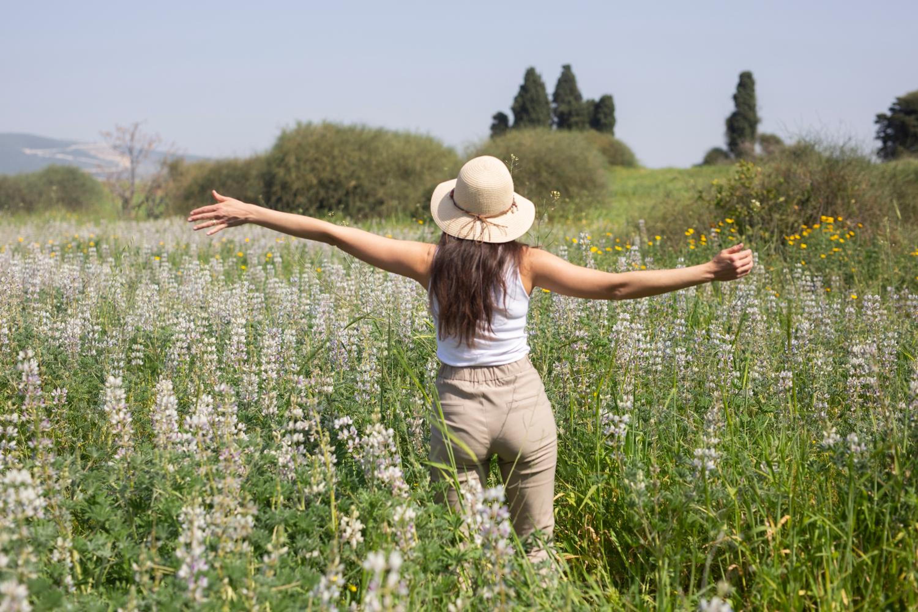 Travel Hotel Gesher Haziv
