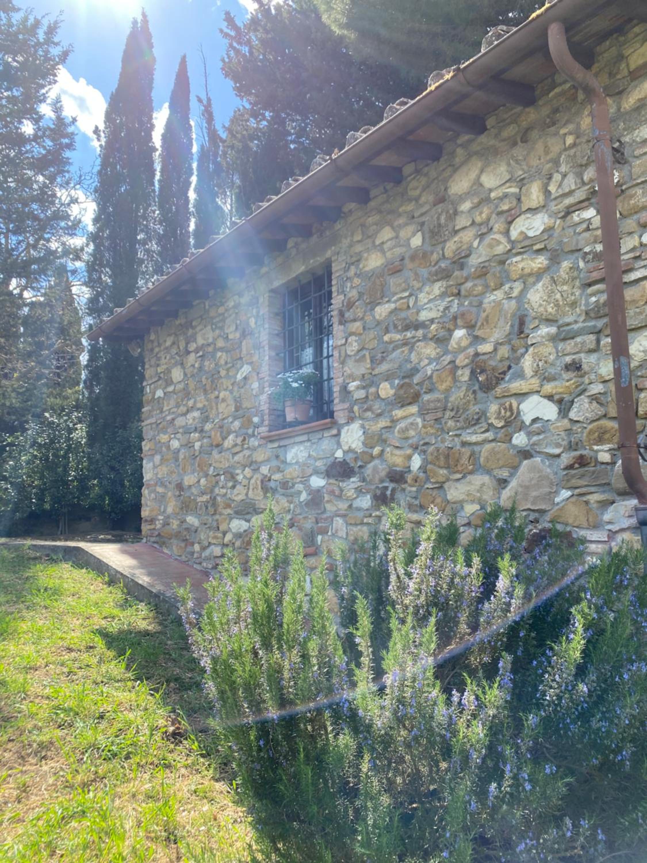 Photo 28