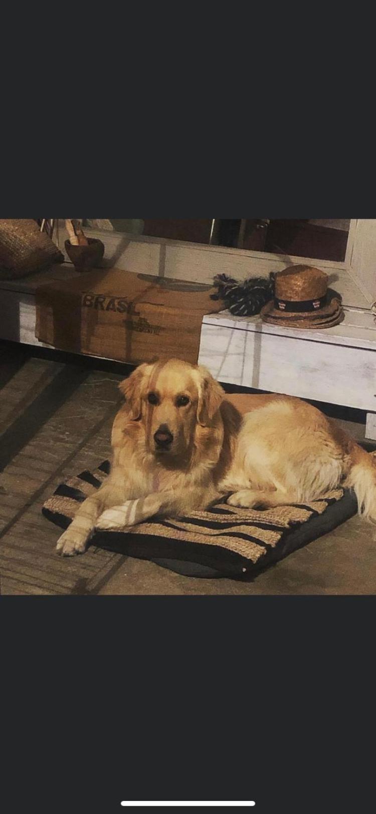 Hotel Le Mazet Chambre d'Hôtes