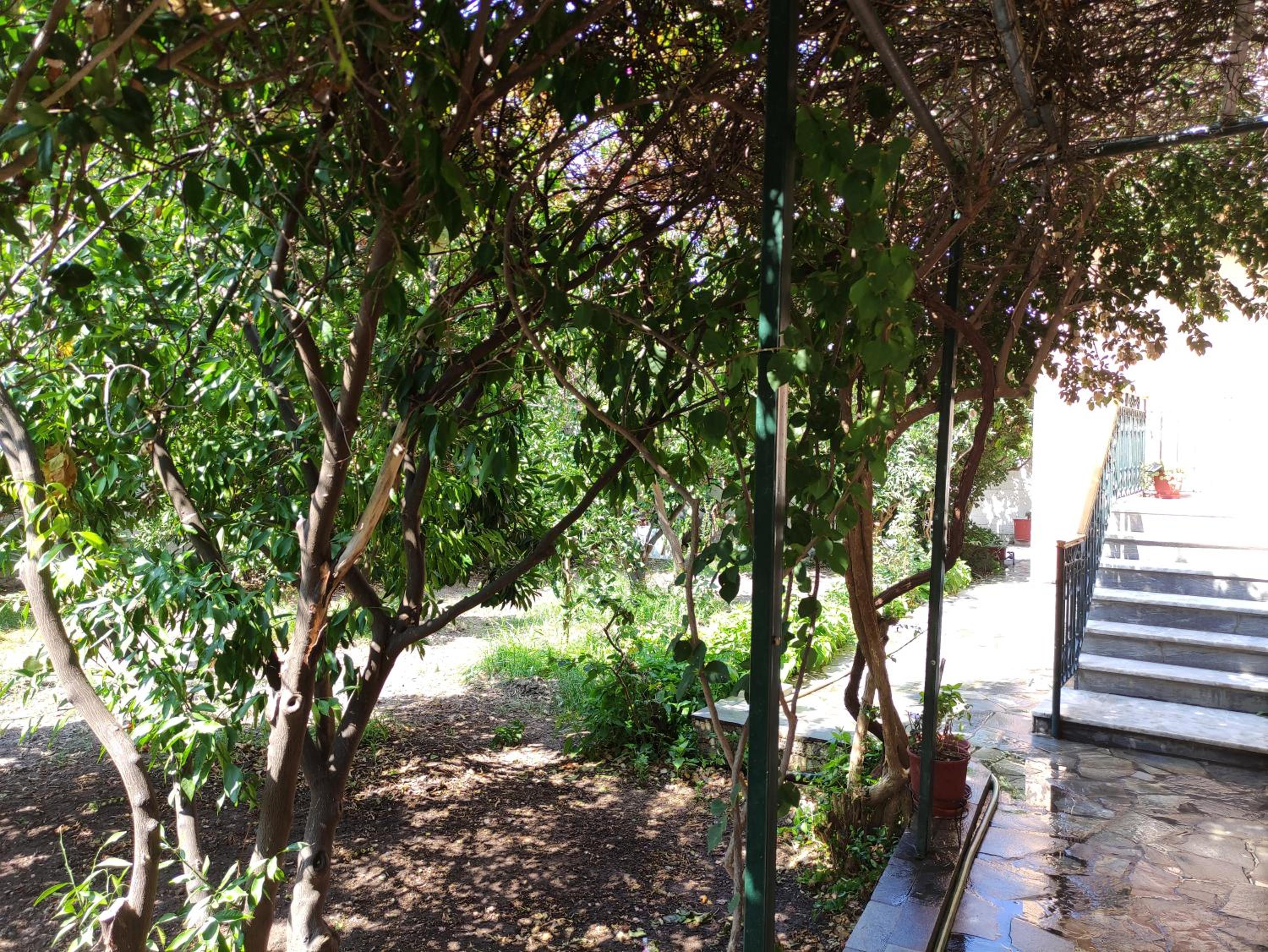 Photo 48