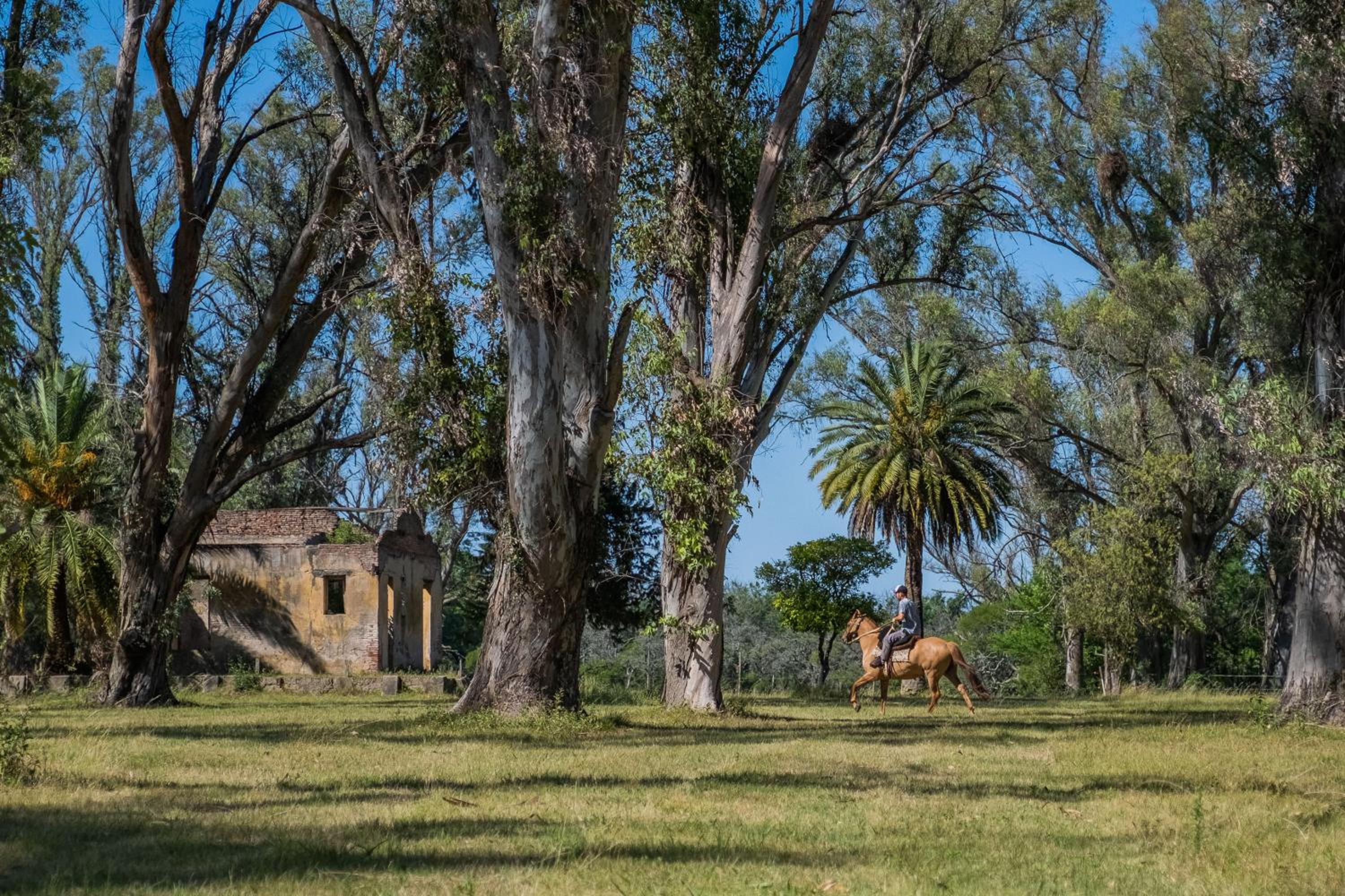 Palacio Santa Candida