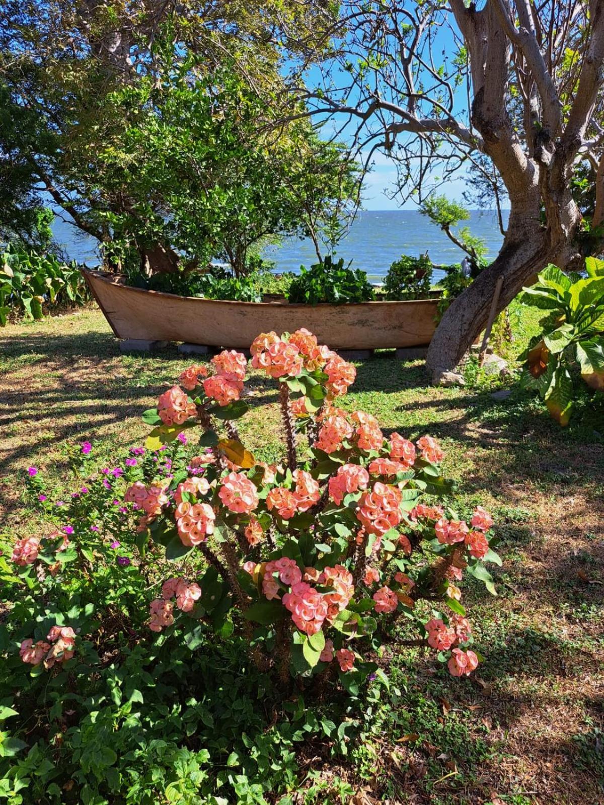 Casa Hacienda El Menco