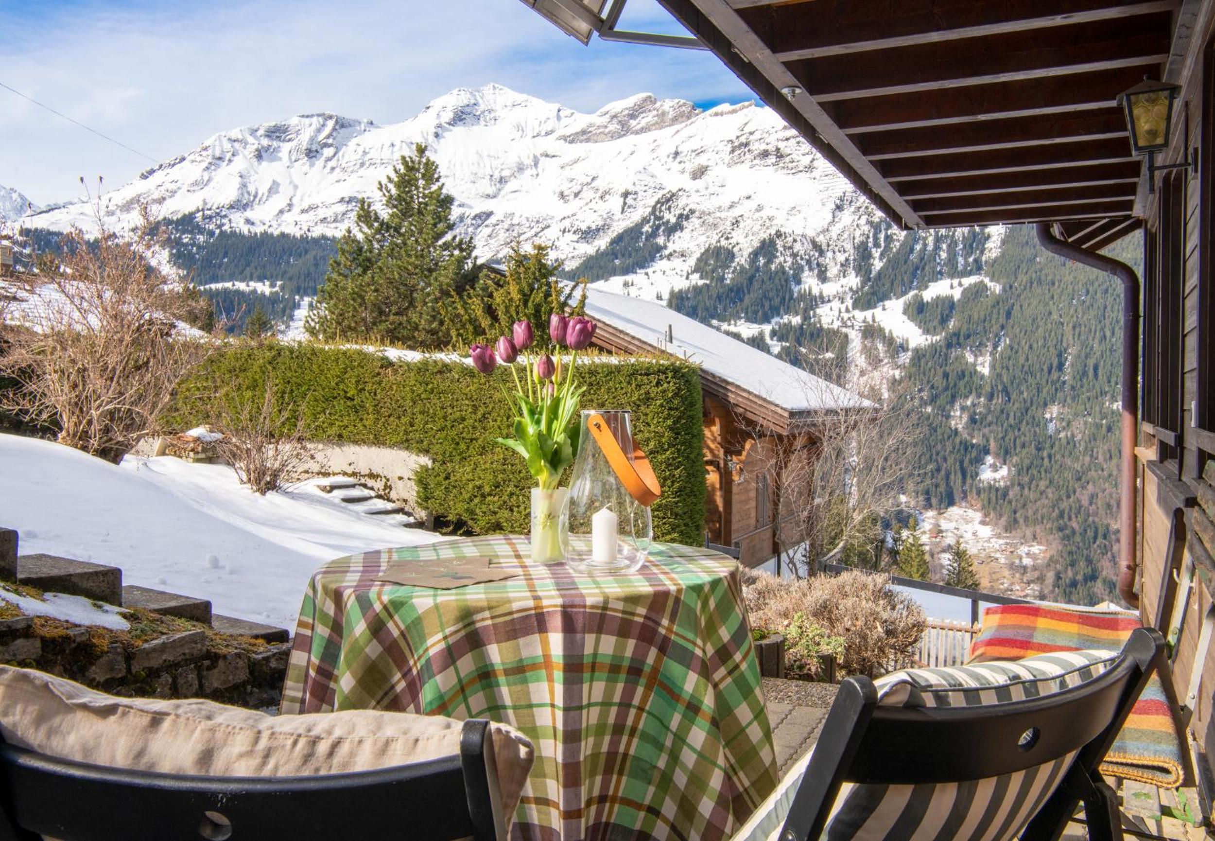 Chalet Vreneli