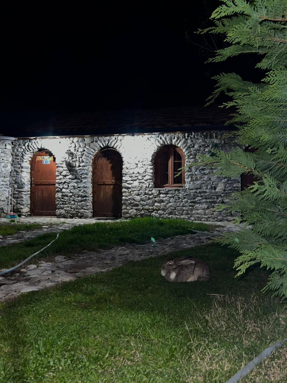 Windmill Shkodra Gesthouse Camping & Grill