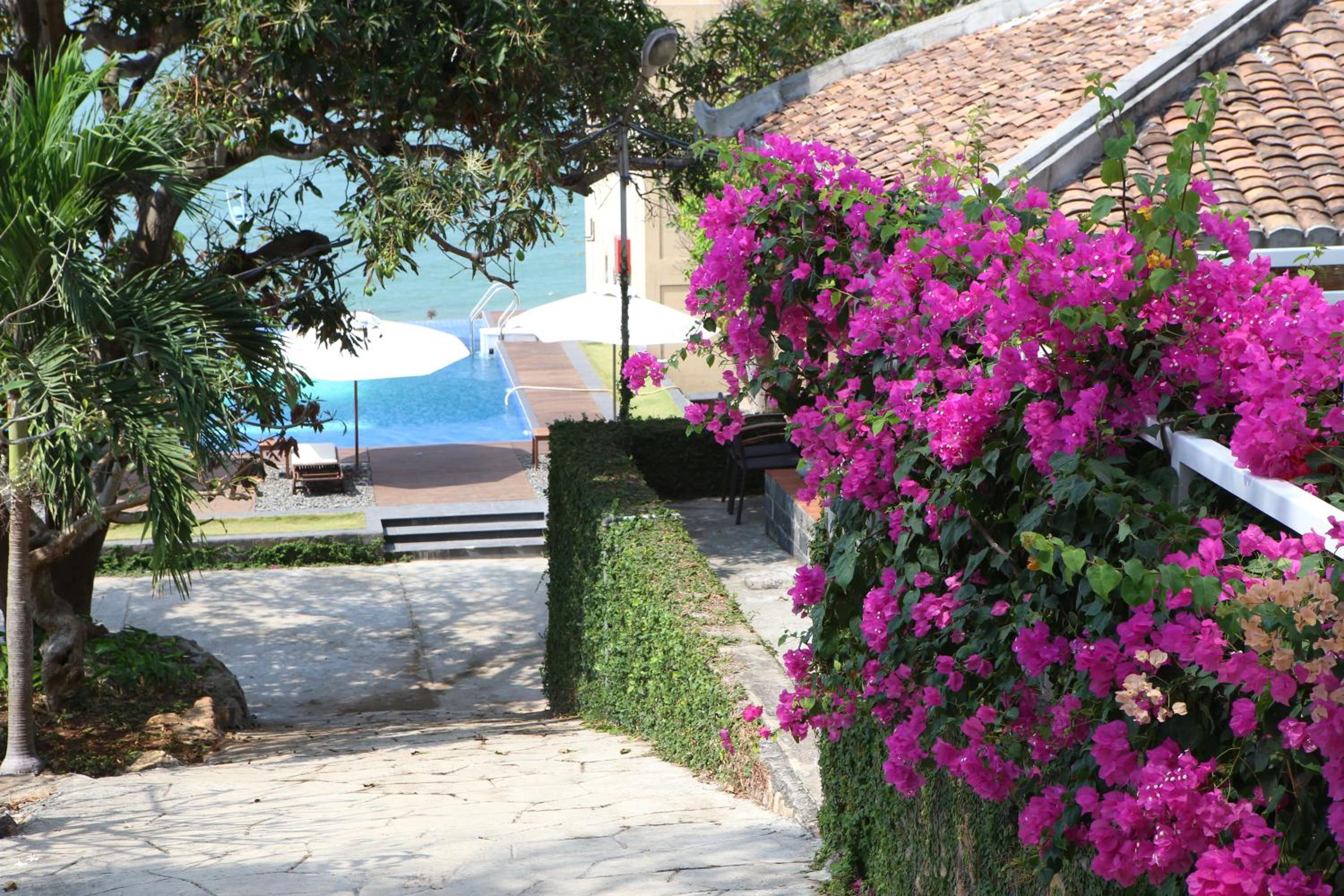 SV Boutique Resort