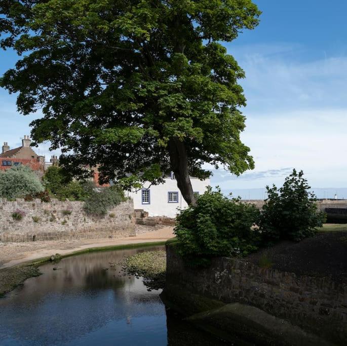 Ainster House