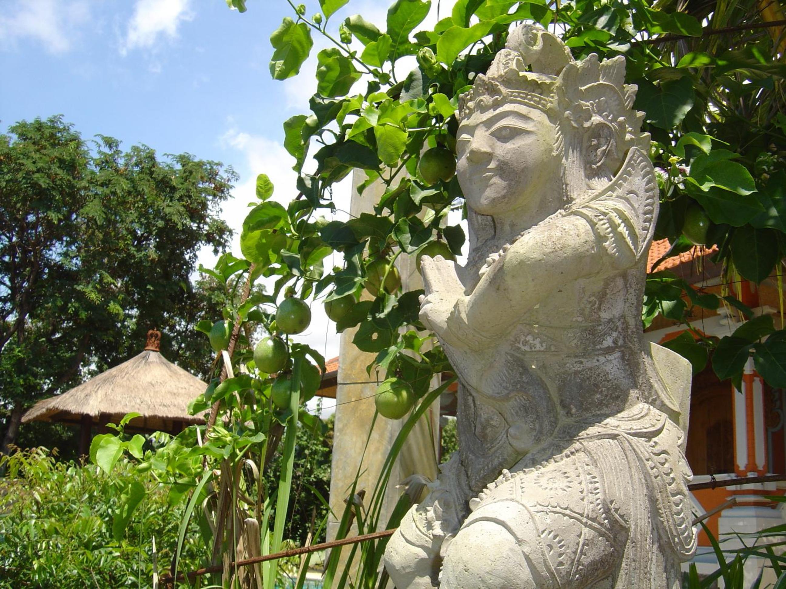 Photo 20