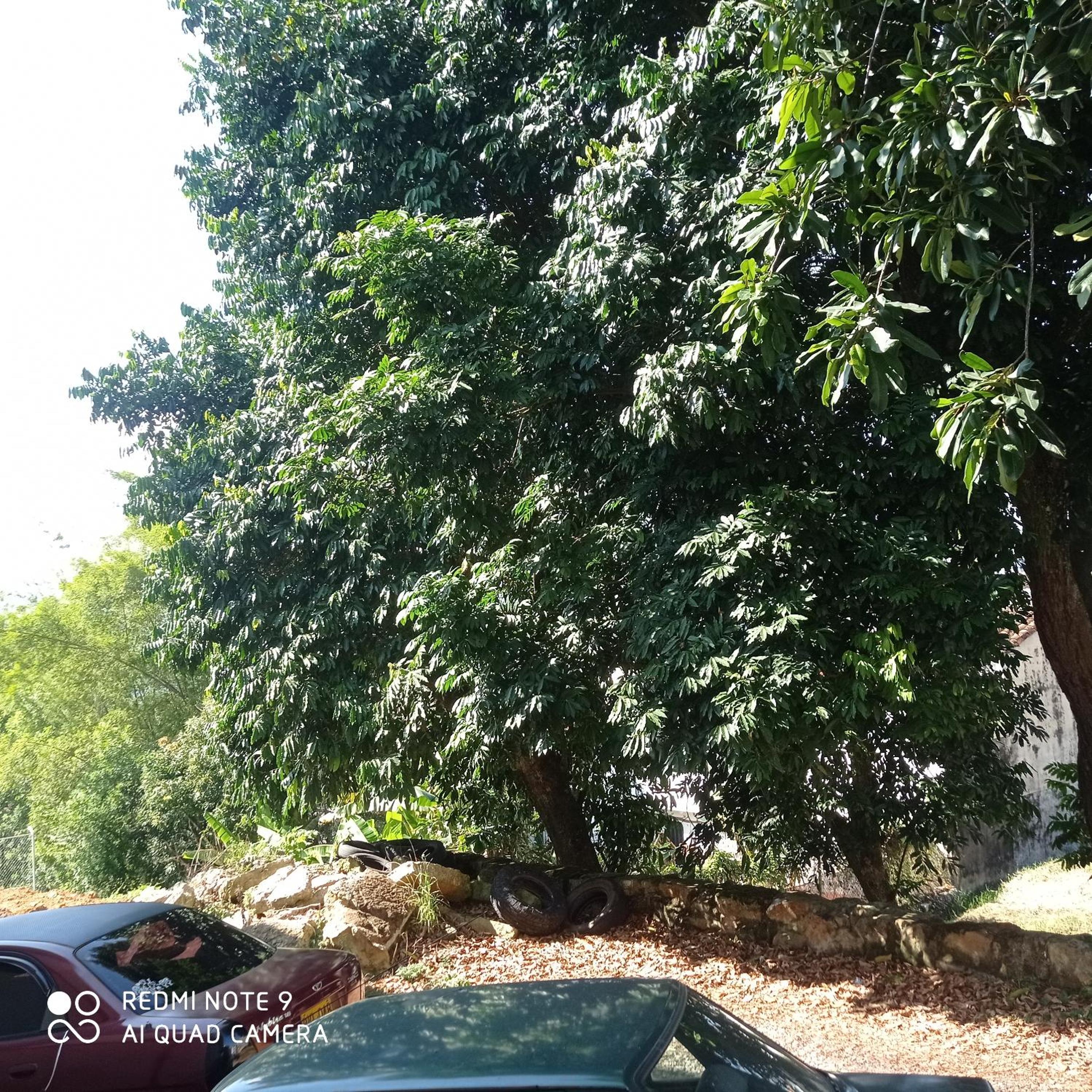 confortable apto integrado con la naturaleza y muy tranquilo perfecto para descansar