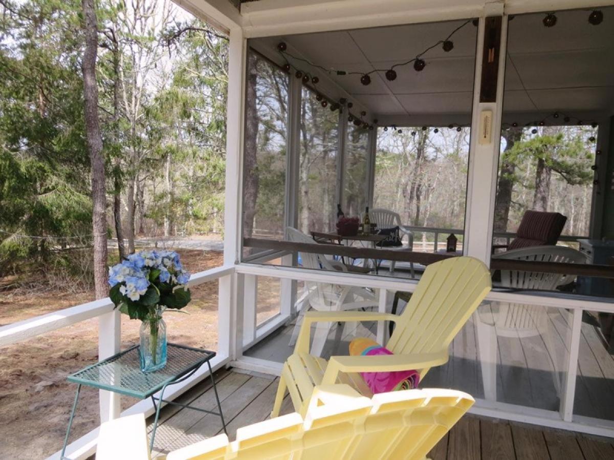 Whip-o-Will Woods: Dog-Friendly Cape Cottage view 3
