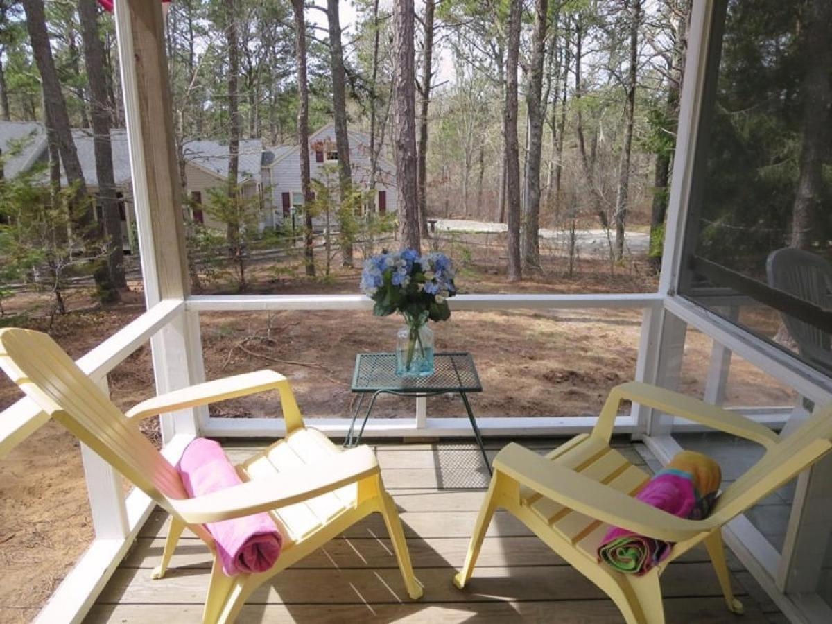 Whip-o-Will Woods: Dog-Friendly Cape Cottage view 4