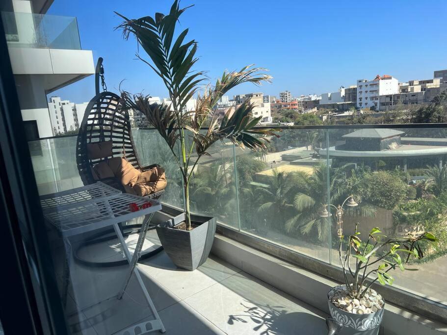 Superb Urban Oasis in Almadies