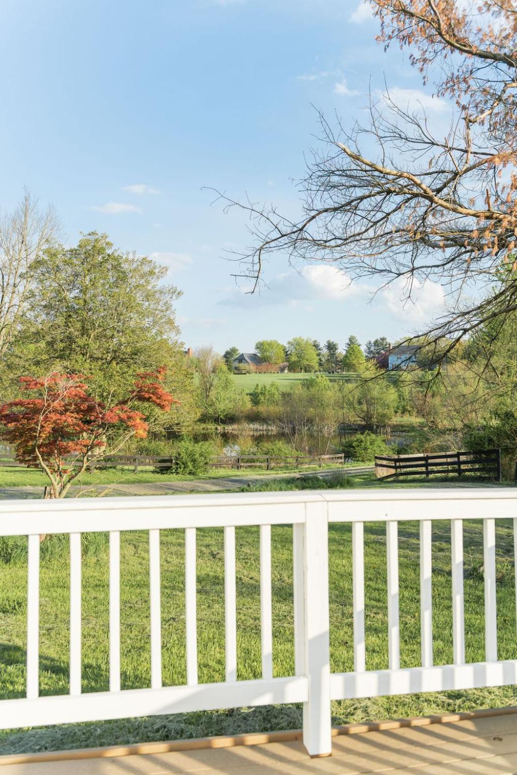 Cottage Escape in Virginia Wine Country - Property Image 8