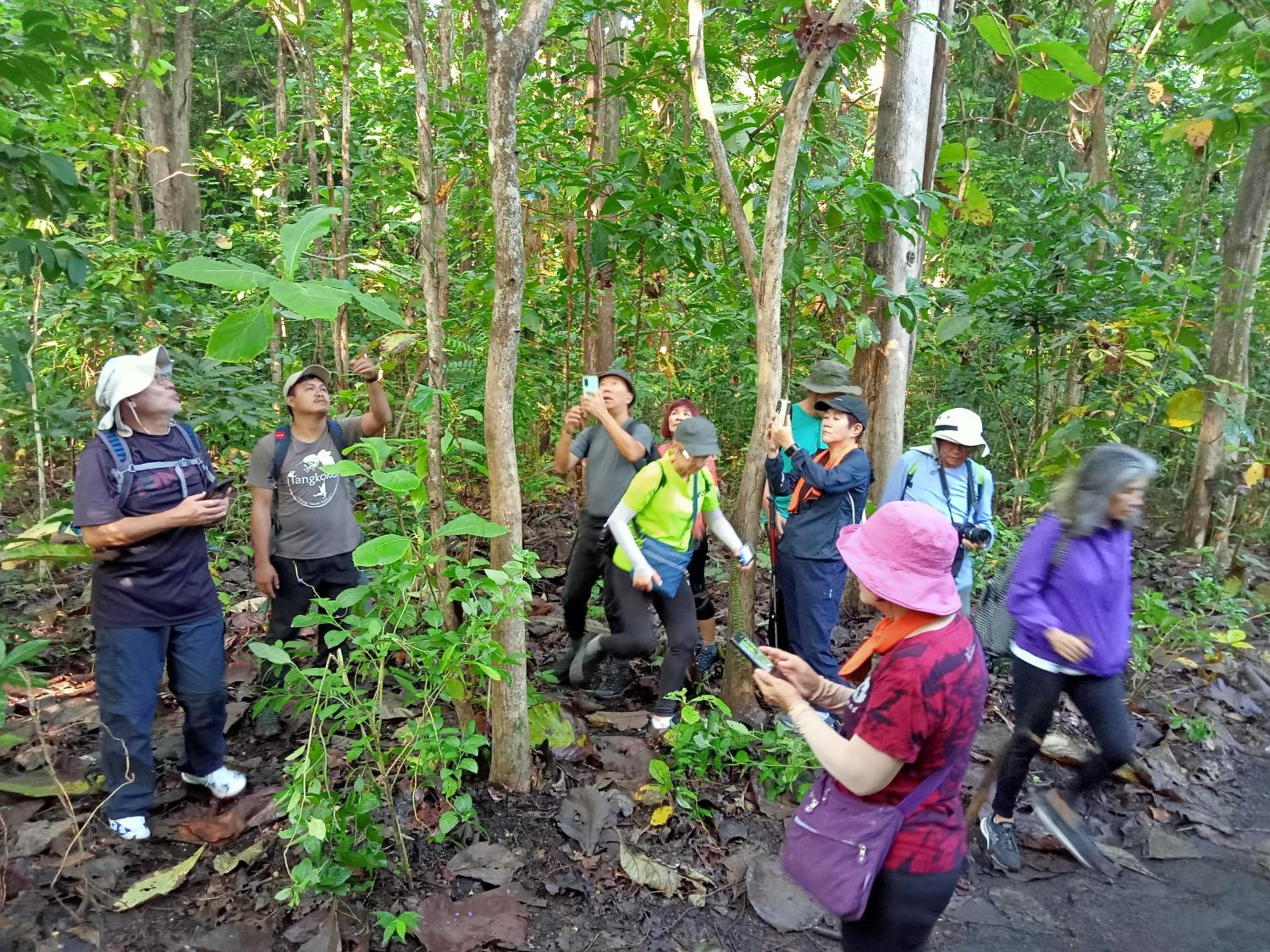 Tangkoko Lodge