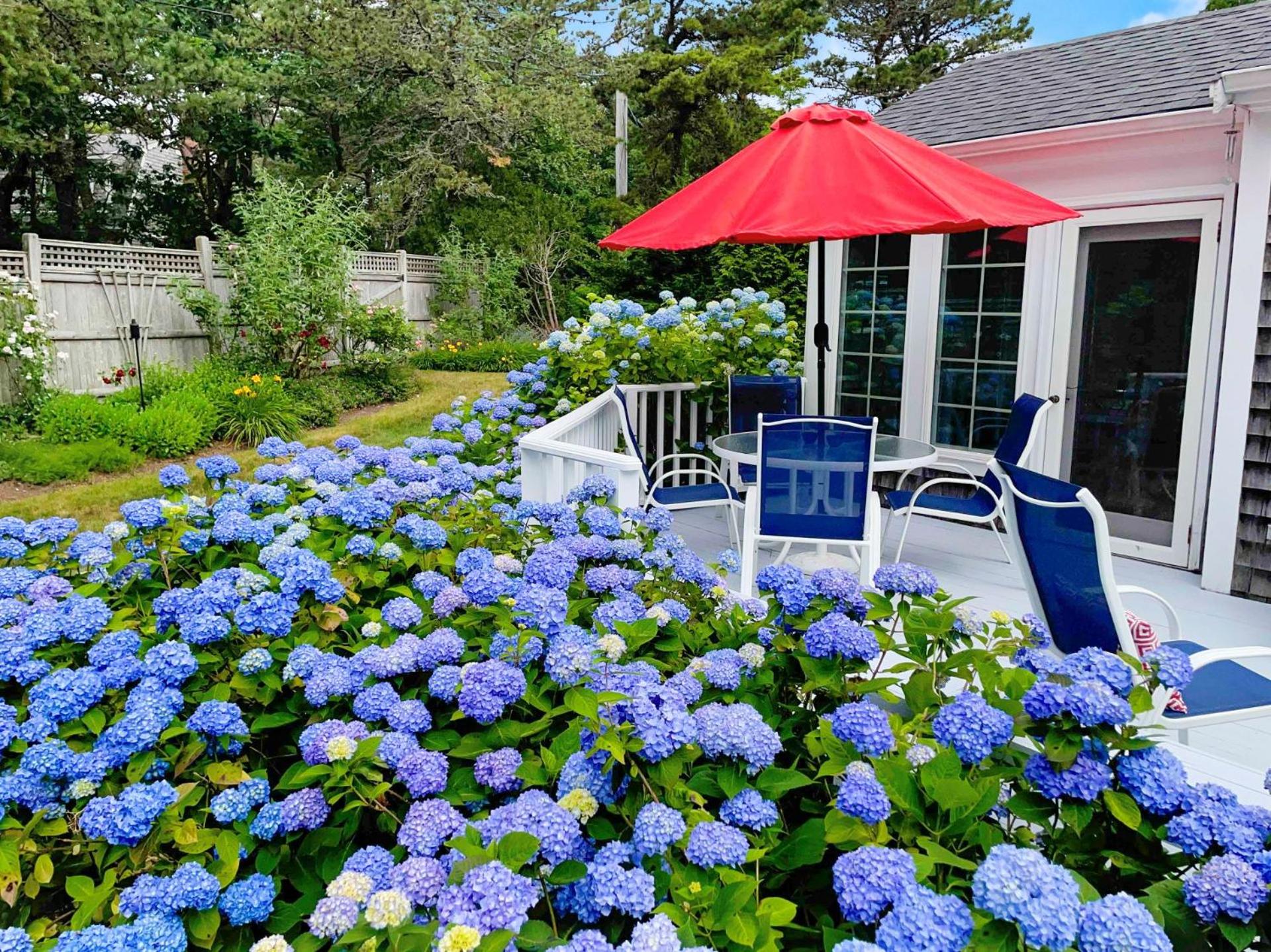 Sea Glass Cottage Near Nantucket Sound Beaches