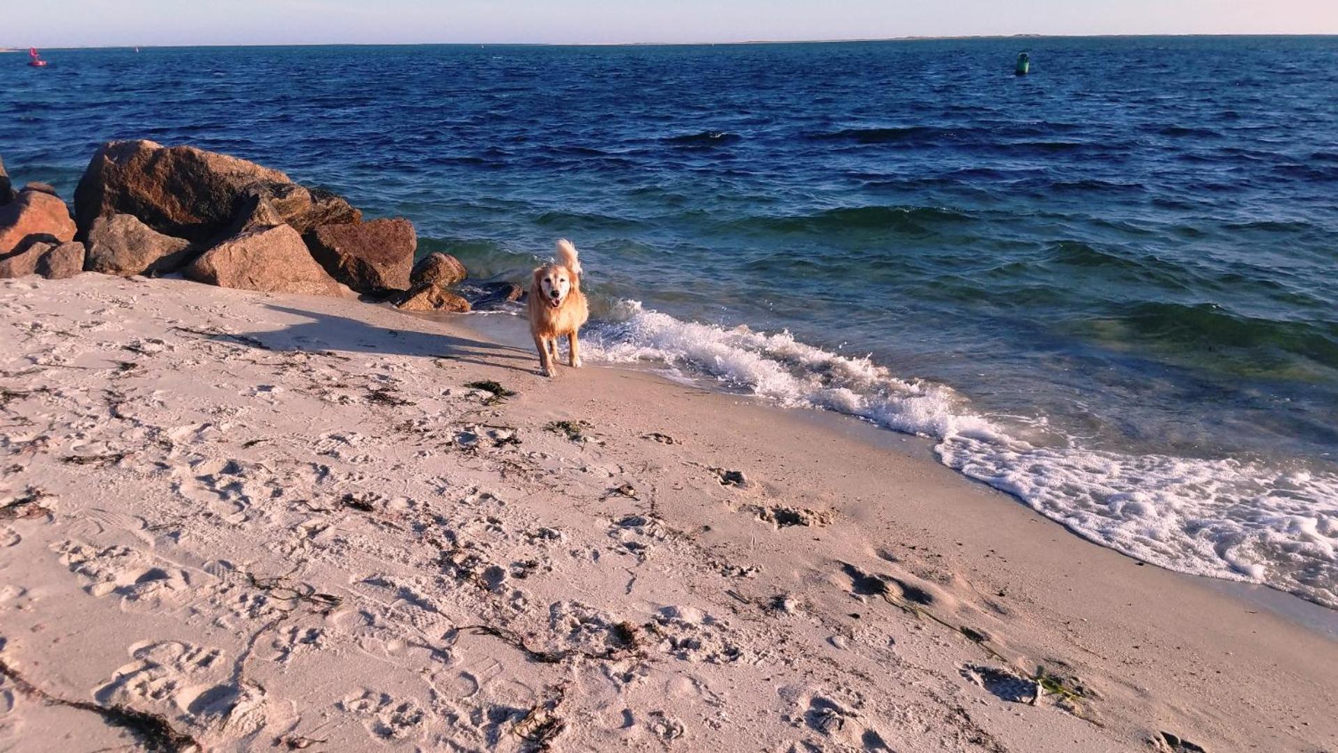 Your Perfect South Chatham Summer Stay