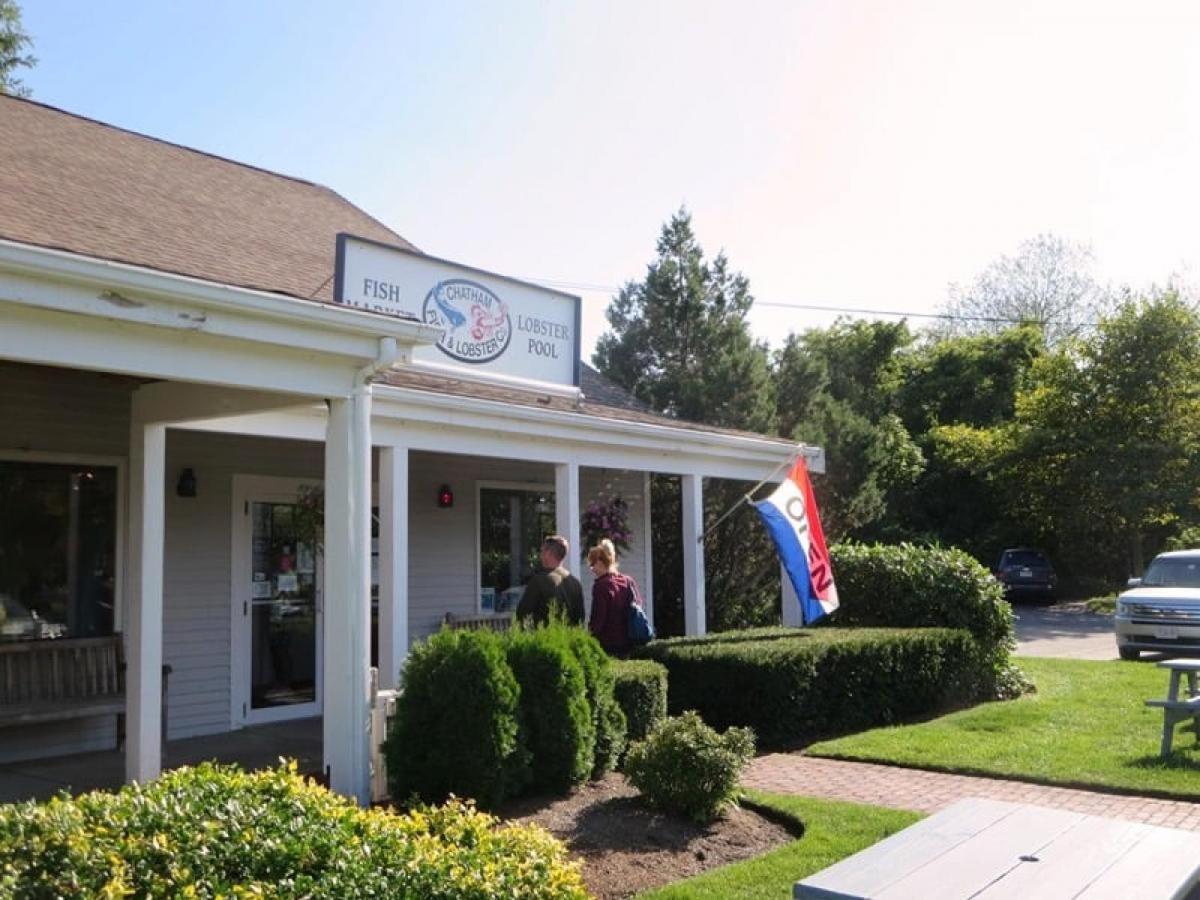 Your Perfect South Chatham Summer Stay