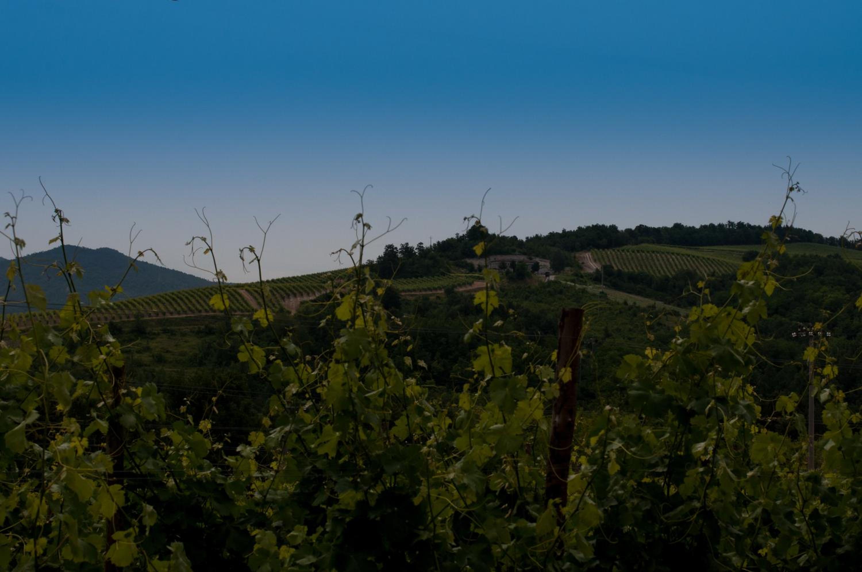 B&B Cascina Santa Gavi