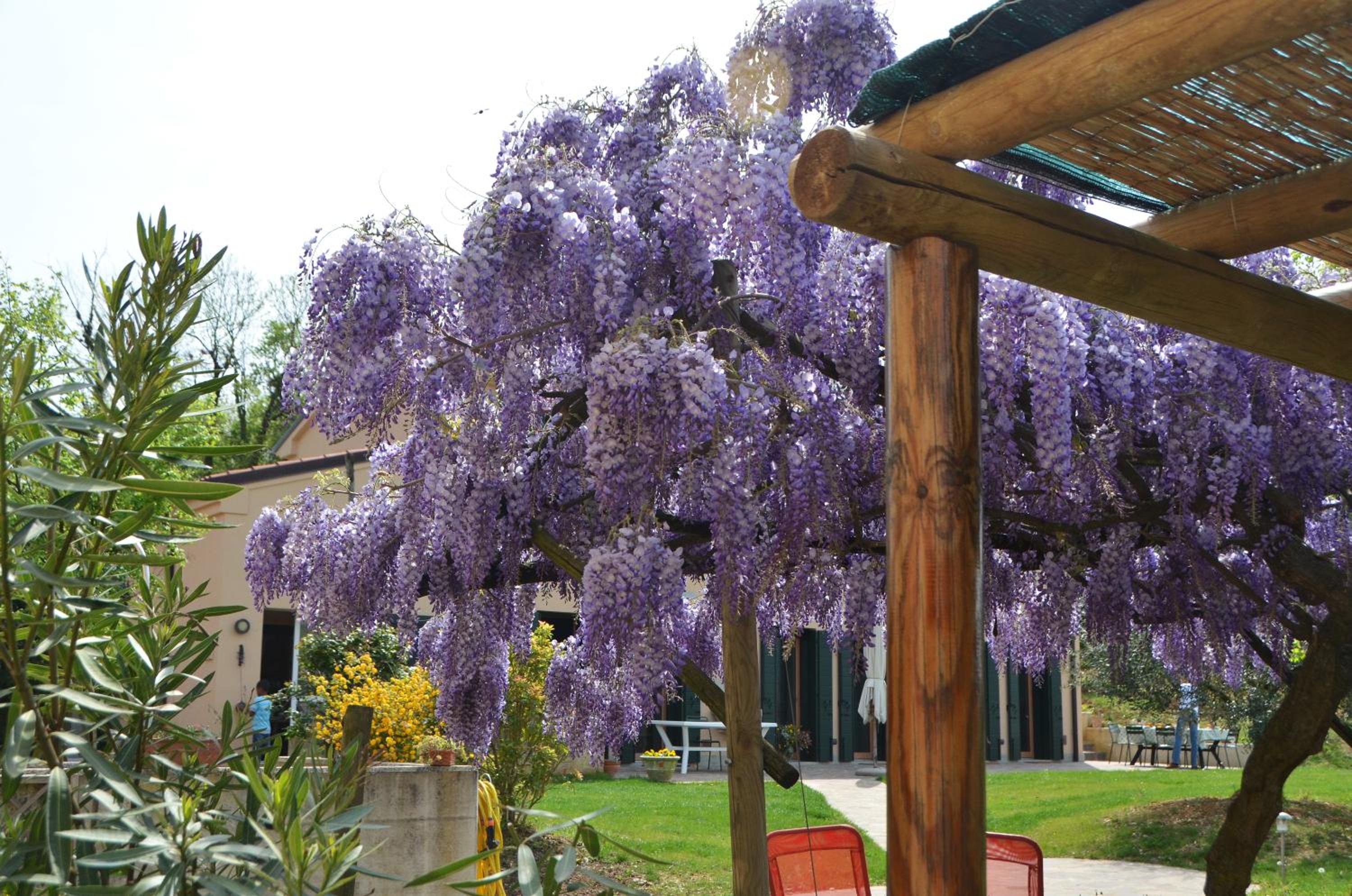 Agriturismo Terre Bianche