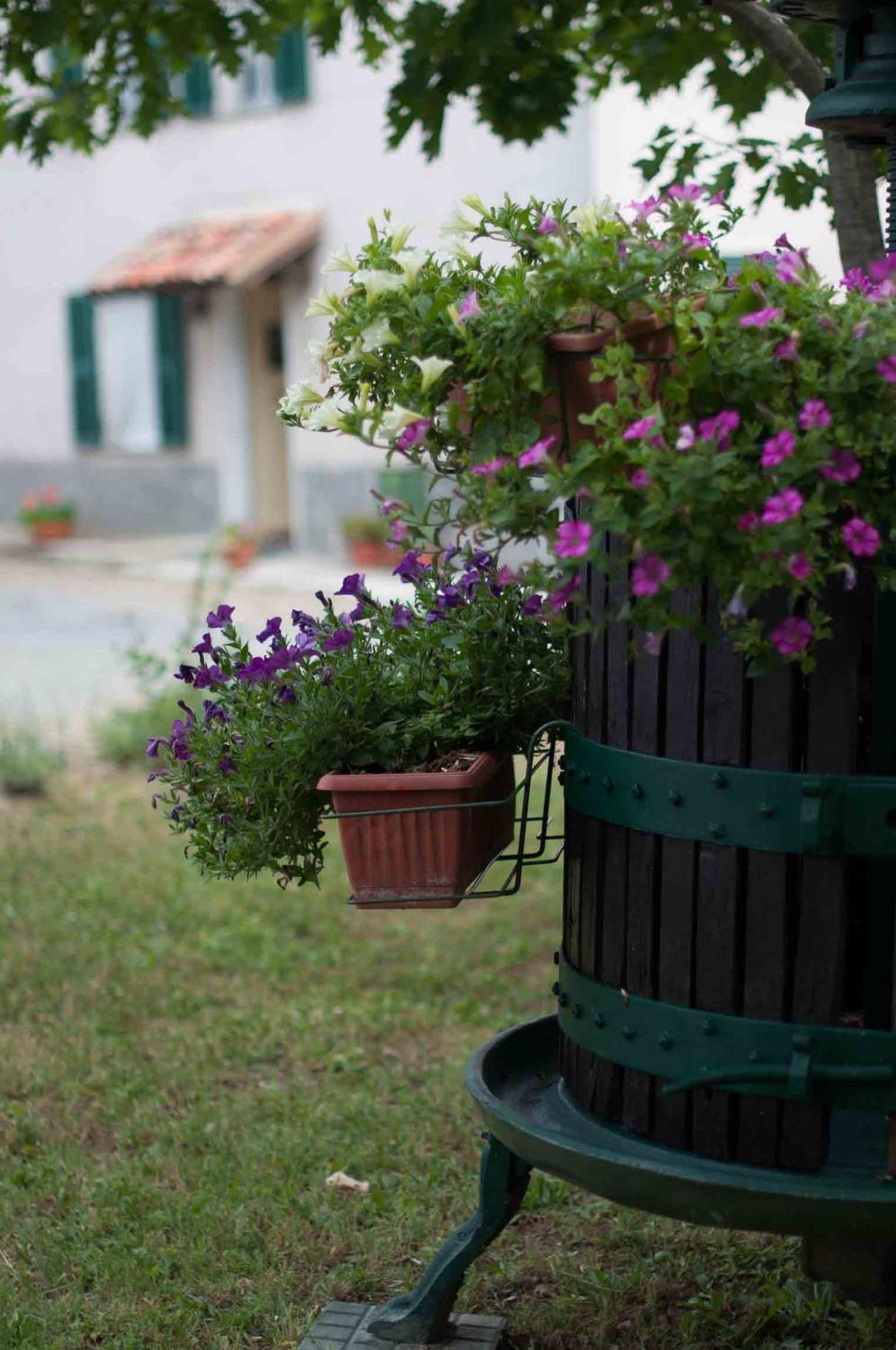 B&B Cascina Santa Gavi