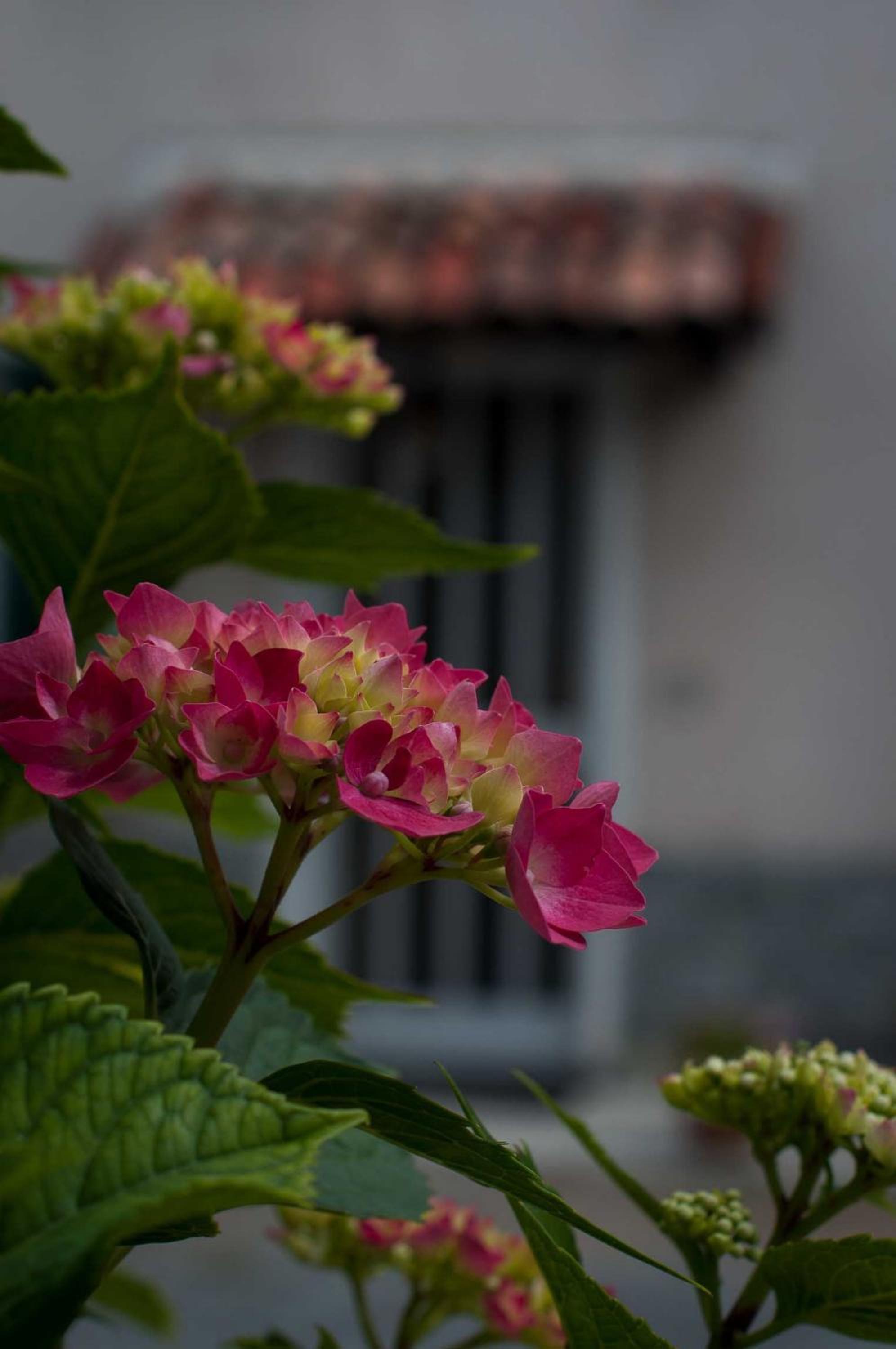 B&B Cascina Santa Gavi
