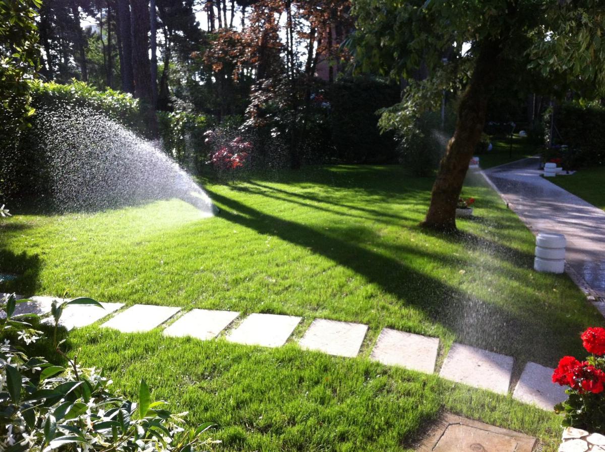 garden