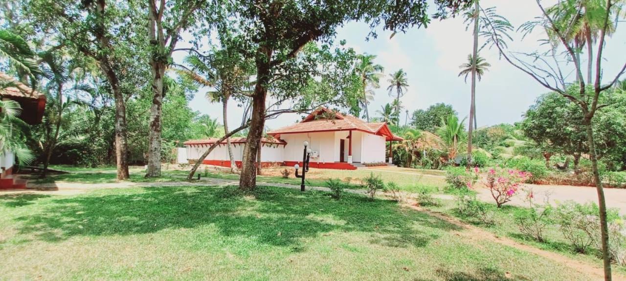 Hotel Abad Turtle Beach - Image 1