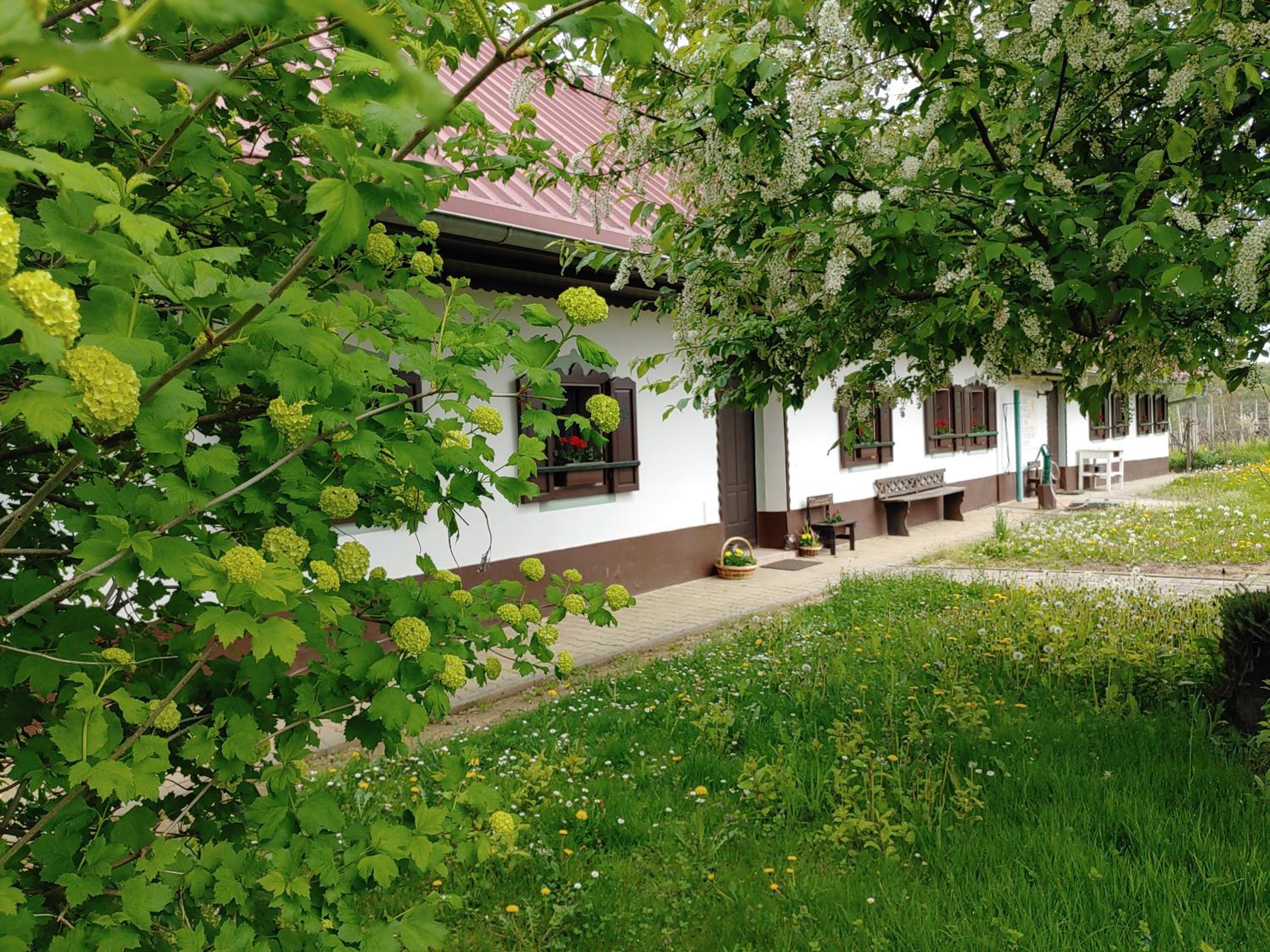 POČITNIŠKA HIŠA PRLEČKA view 2