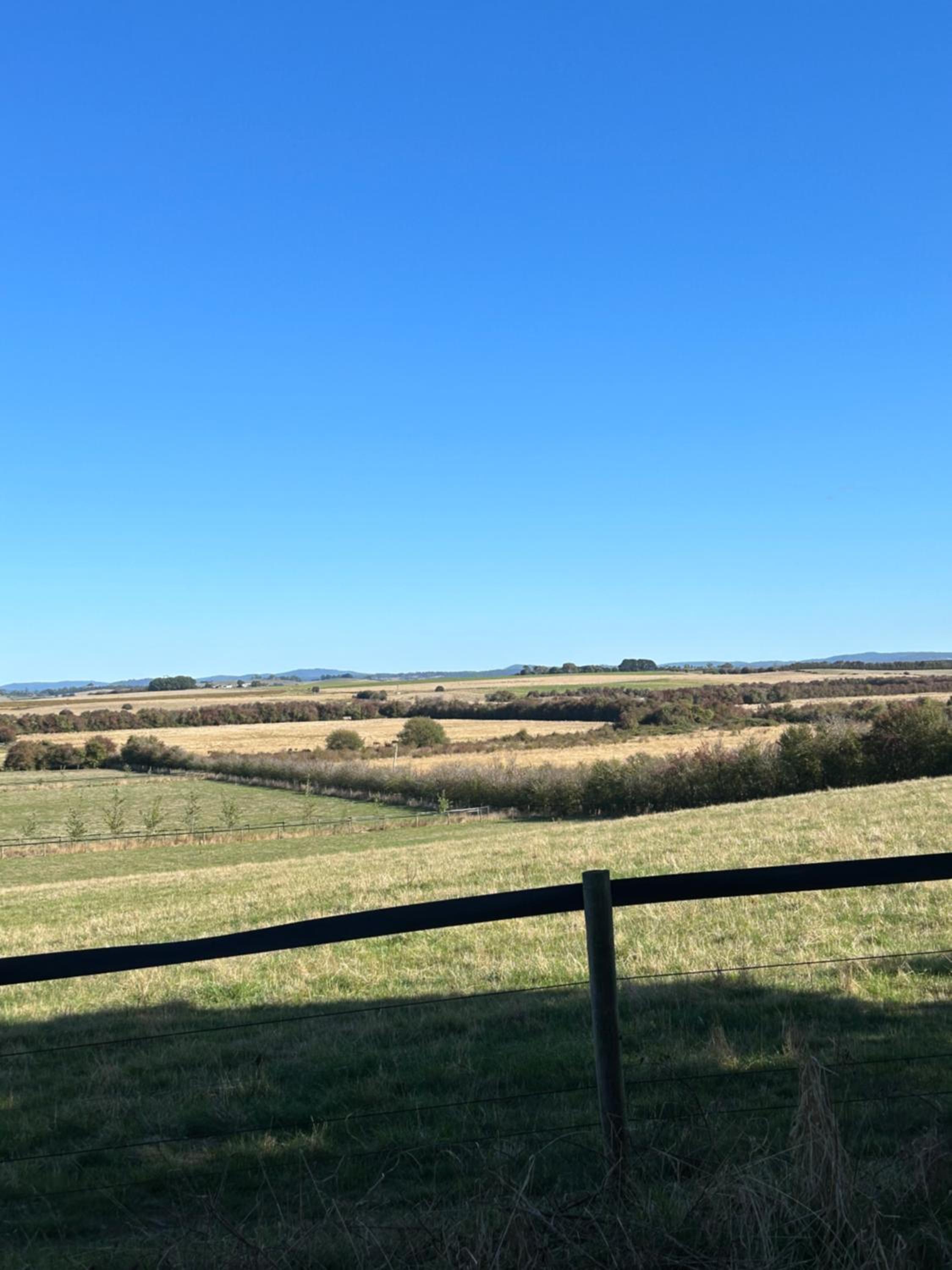 Whitemore B&B