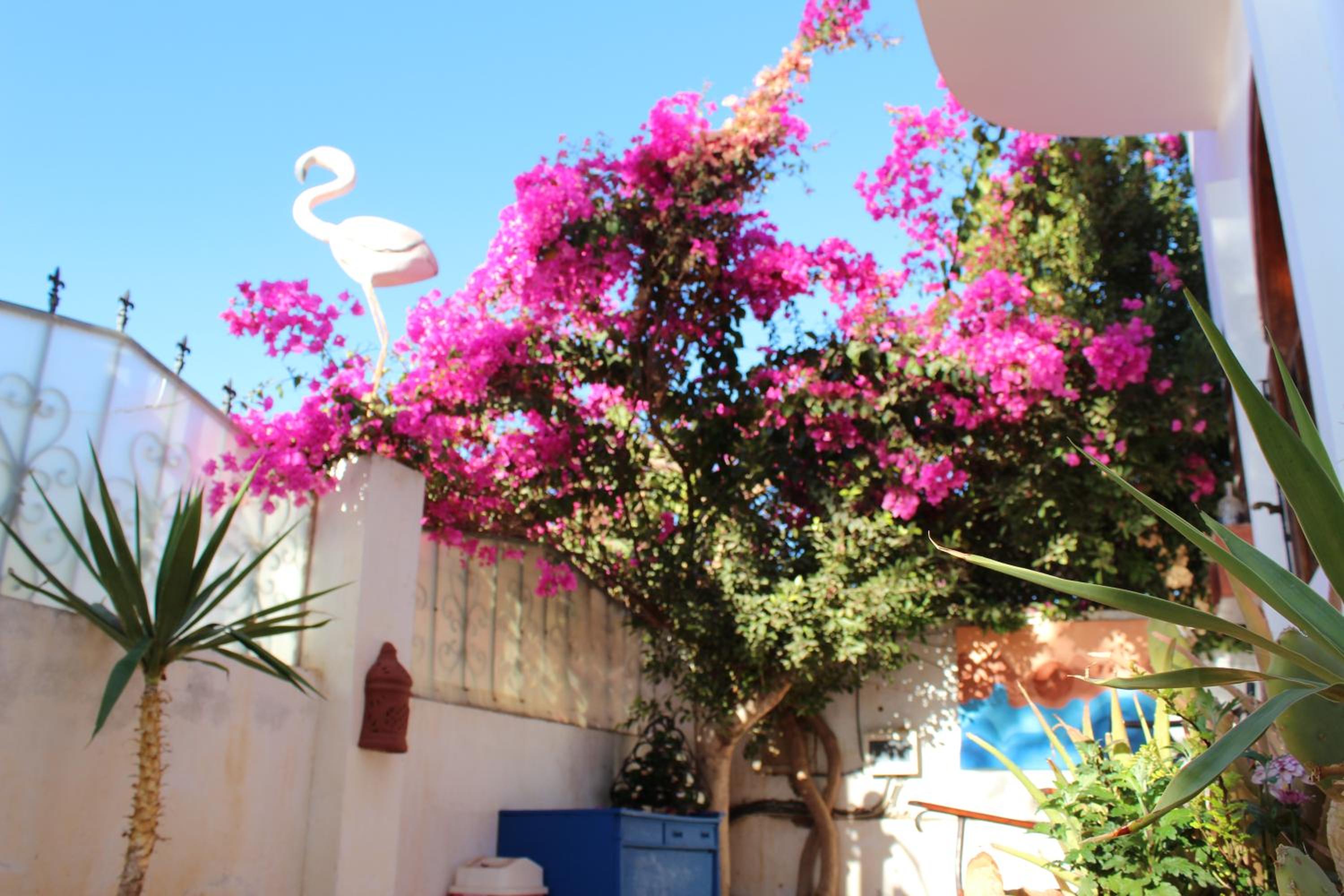Villa Andalusia Dahab blue