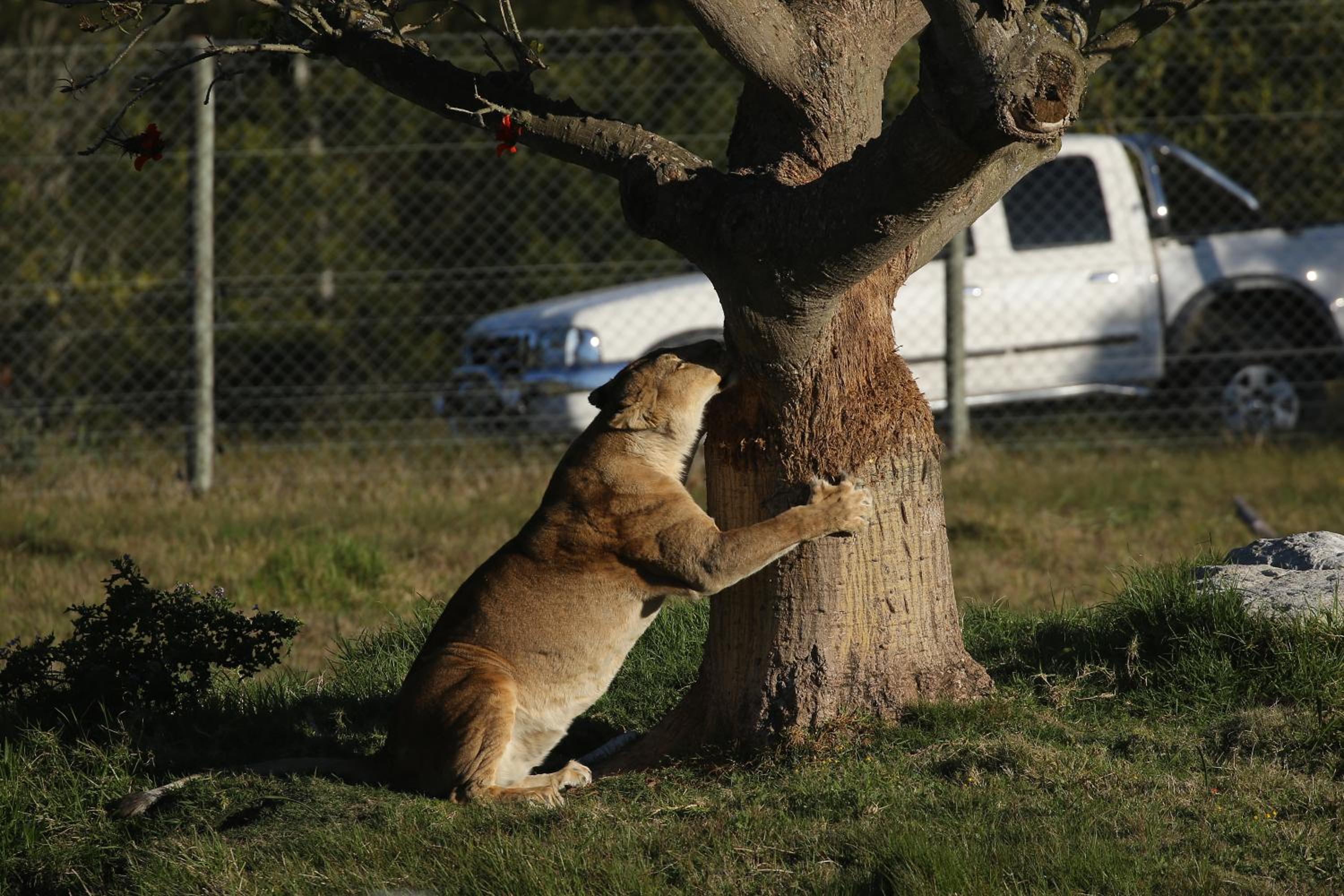 Kragga Kamma Game Park