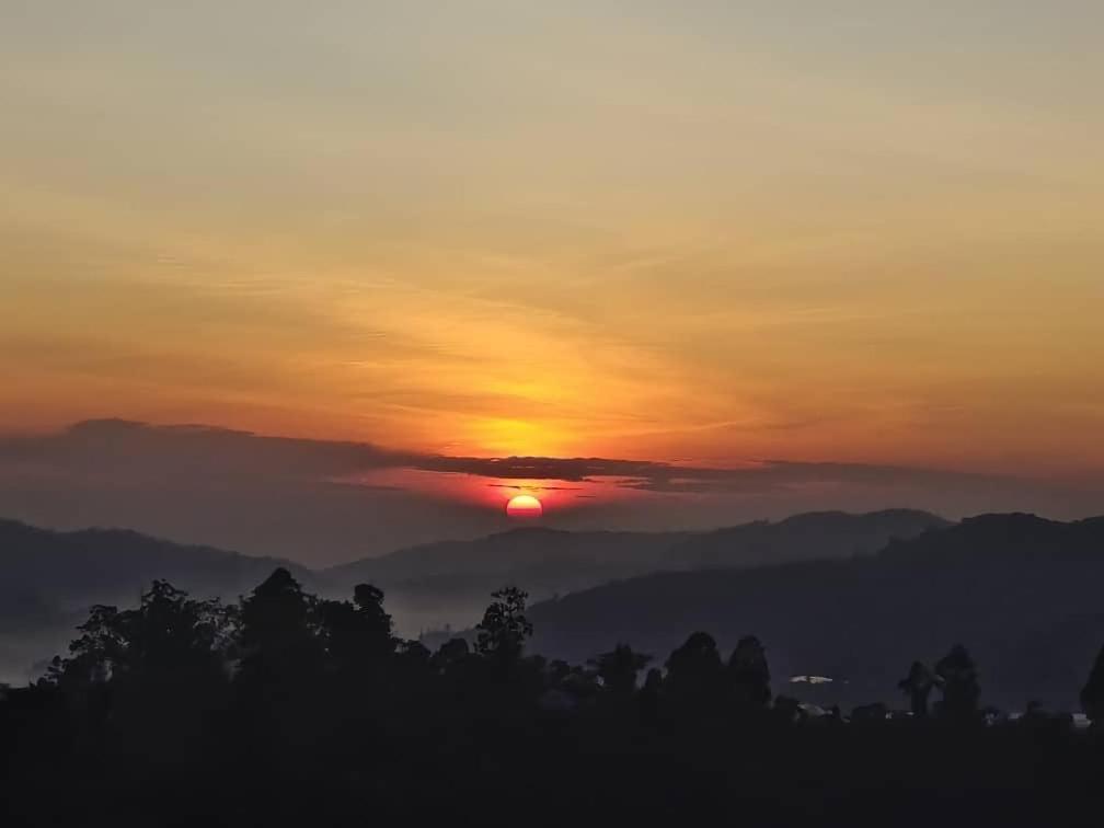 Palas Horizon with Sunrise View photo 2