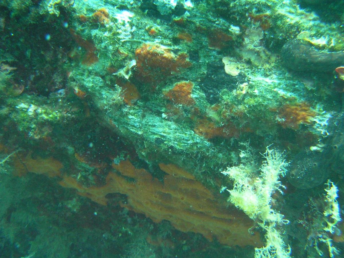 Photo 28