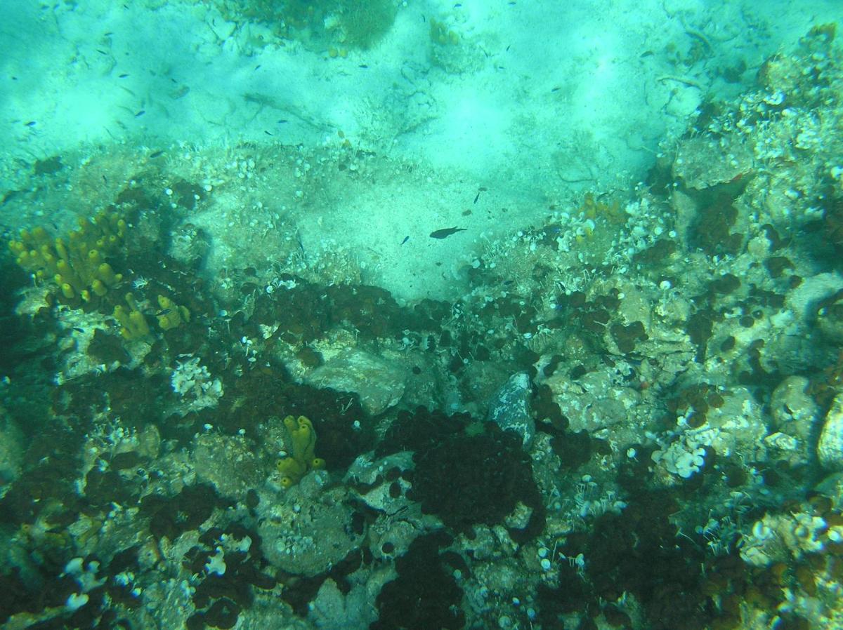 Photo 40