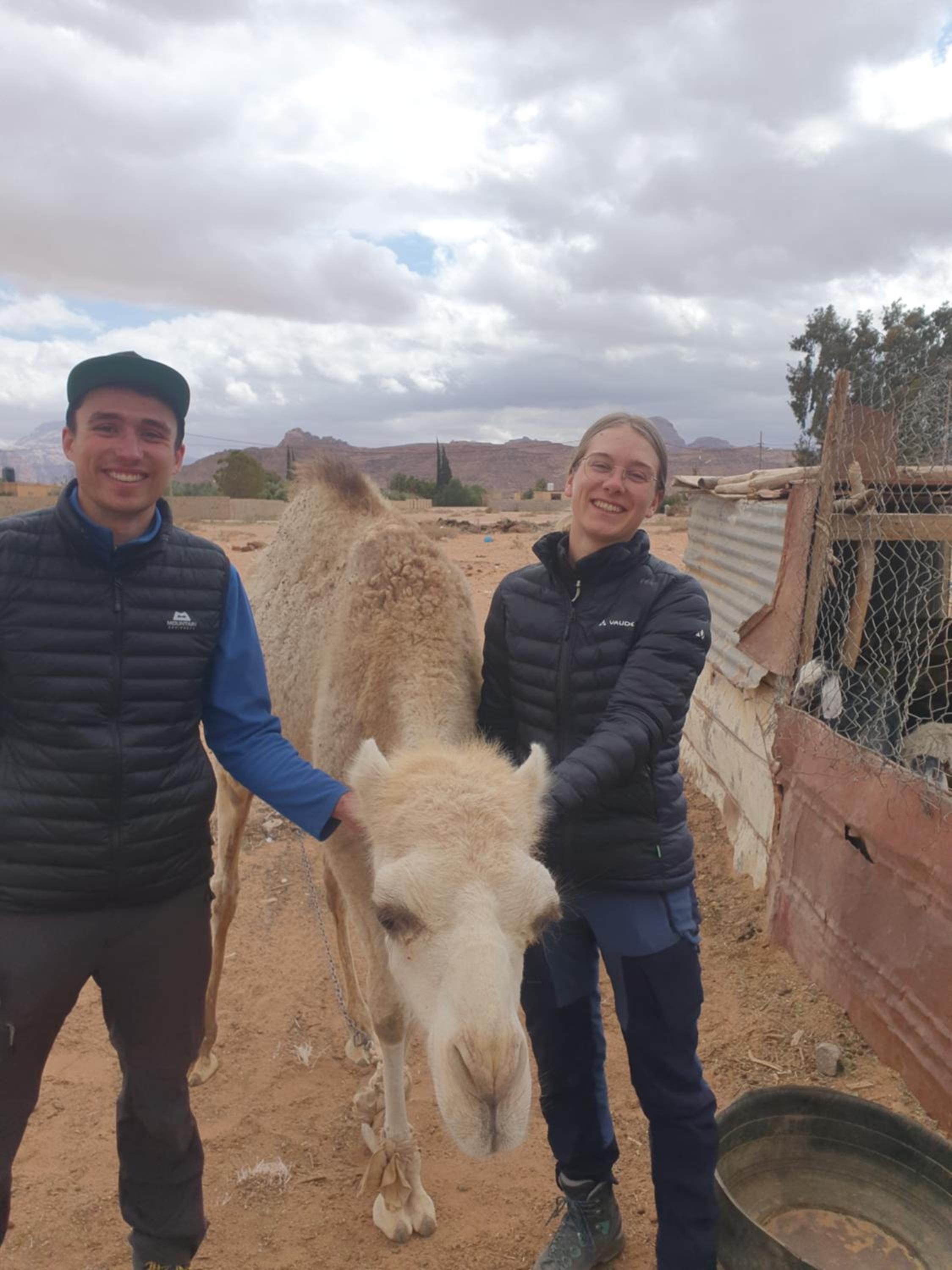 Bedouin experiences