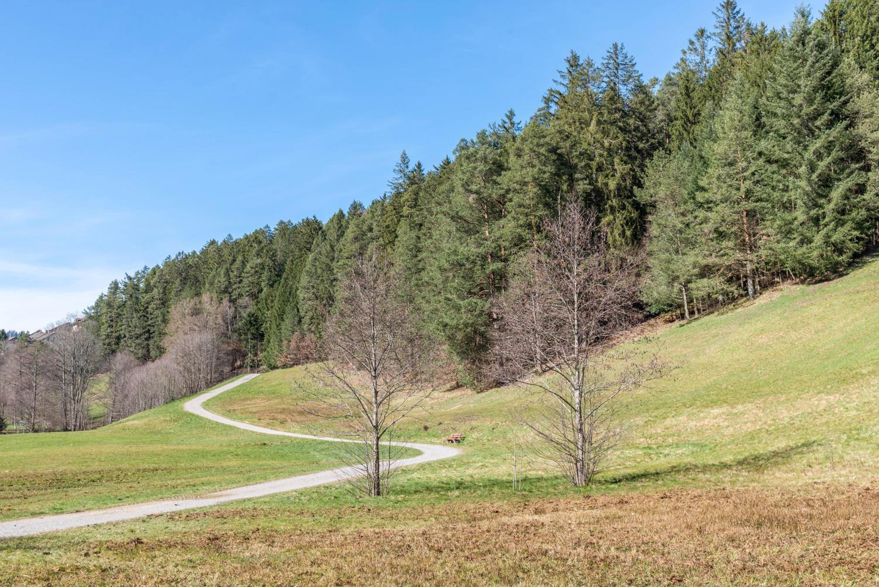 Schwarzwald Wölkchen